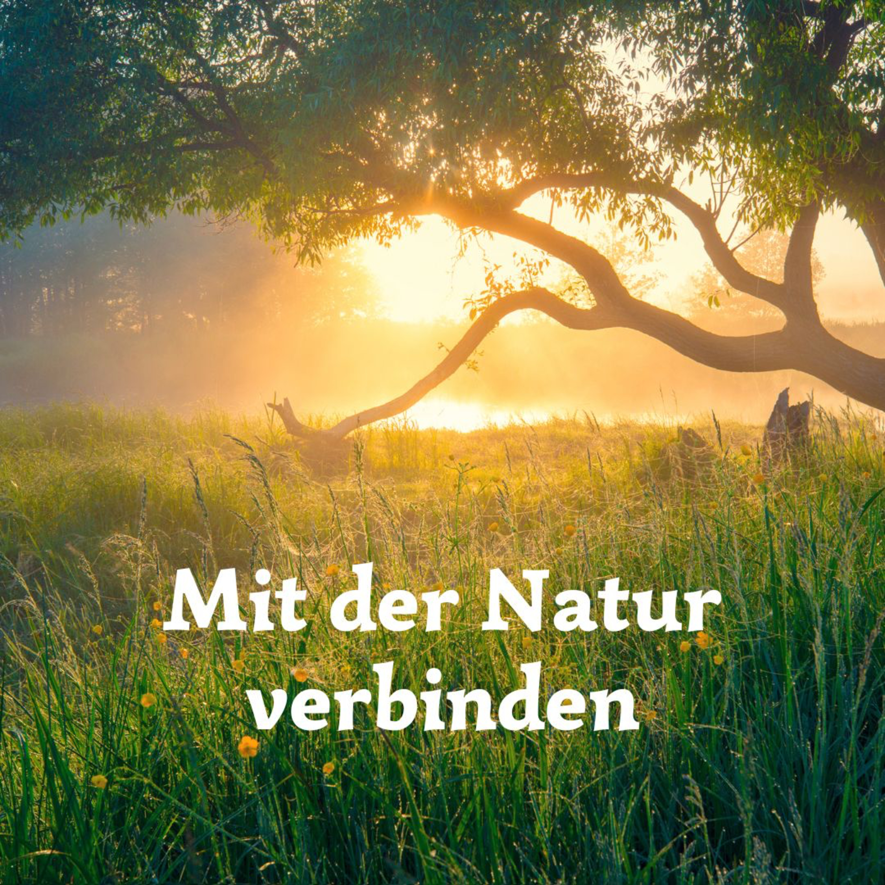 Meditation für mich