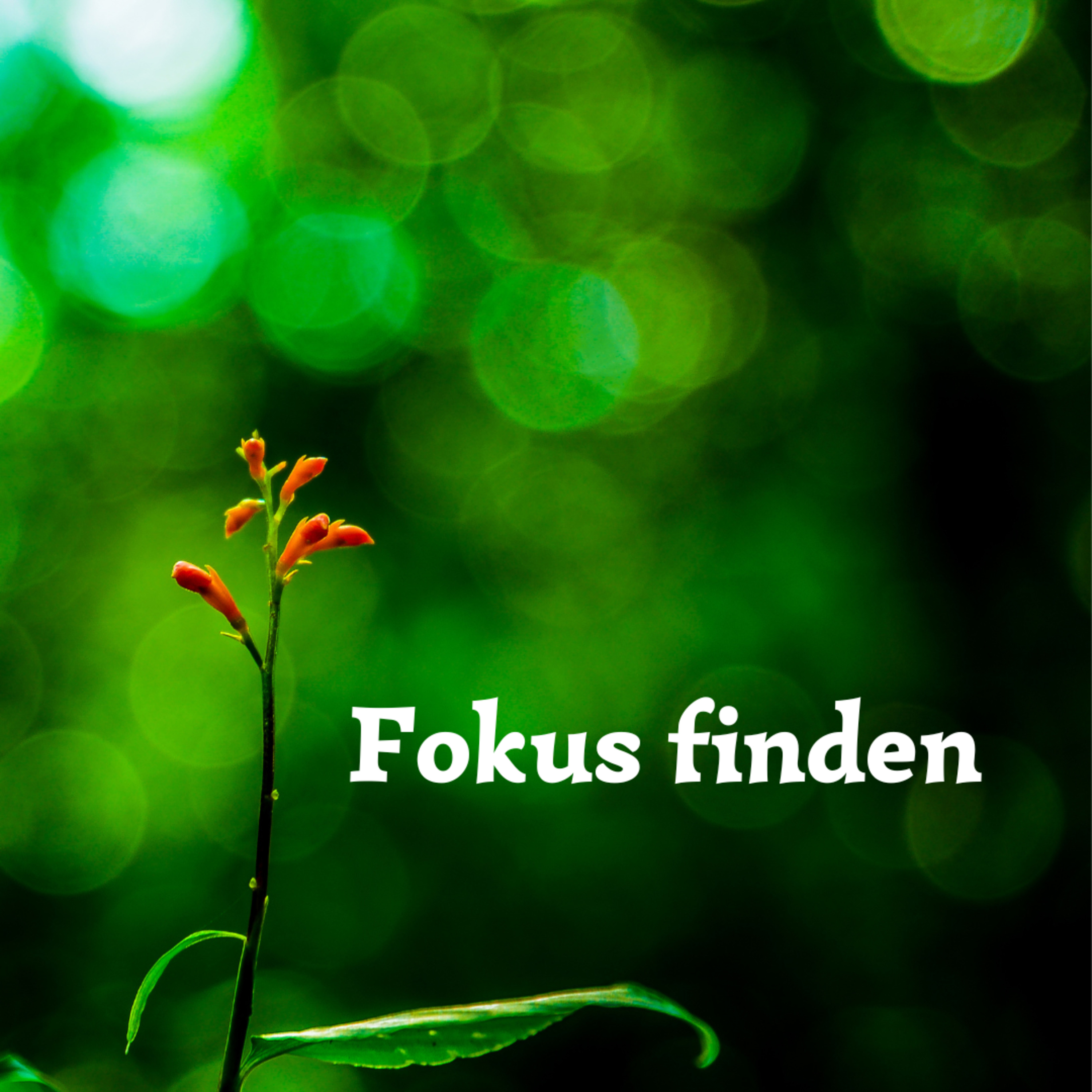 Meditation für mich