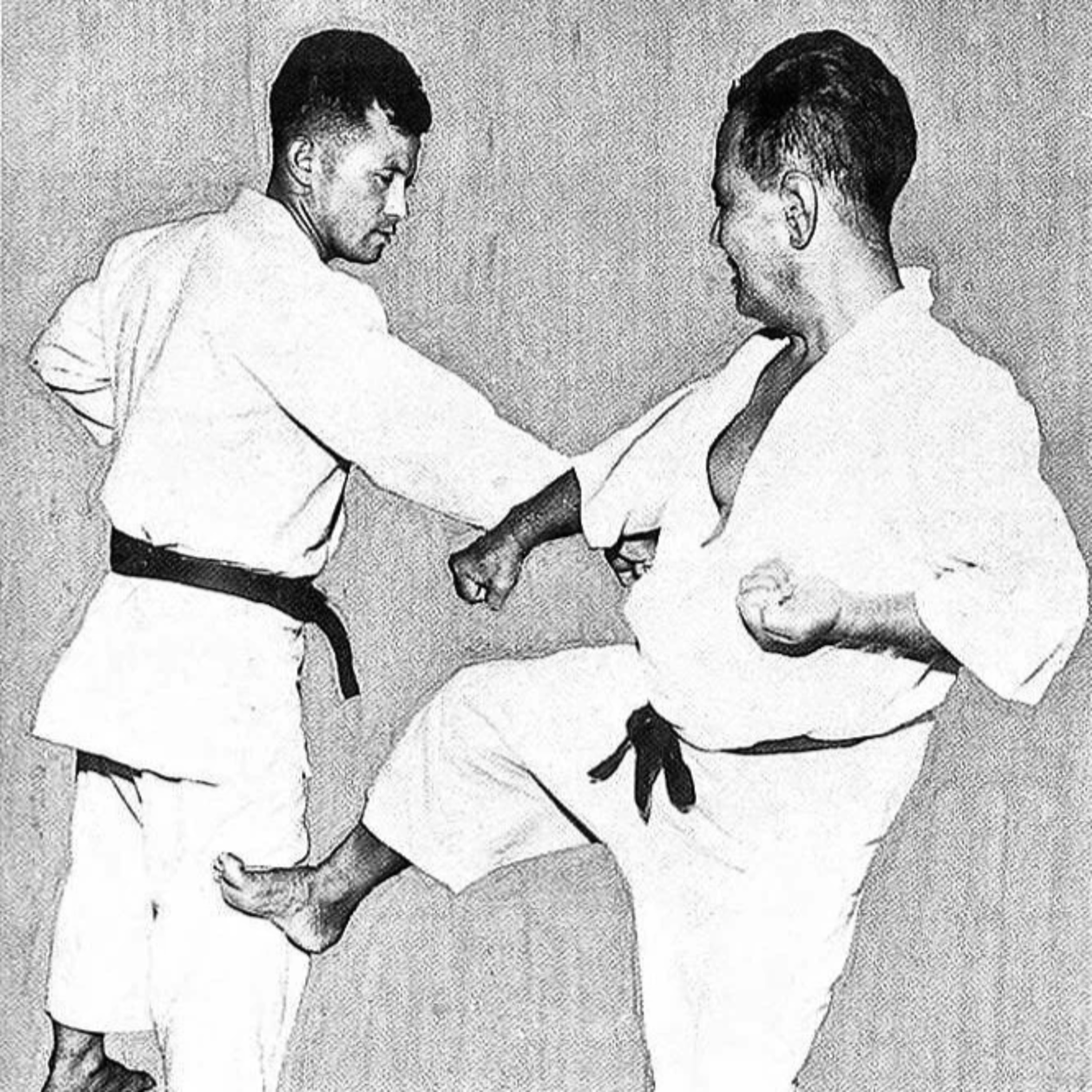 197 Dos nerdos hablan de artes marciales [Pregúntale a Dann] episode artwork