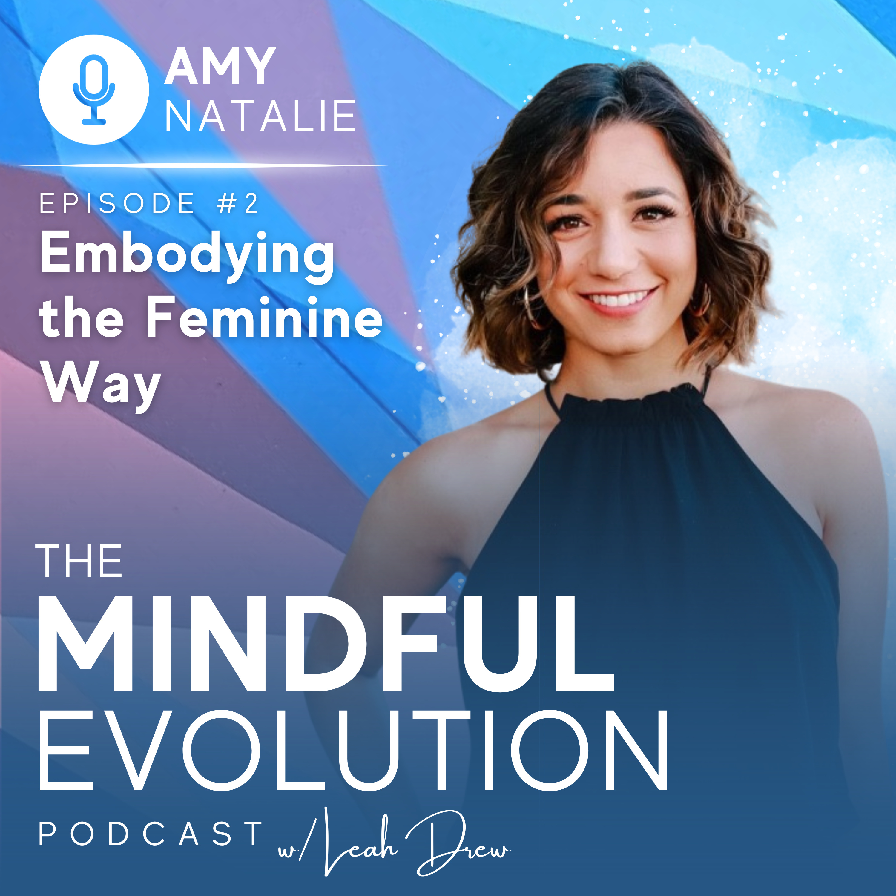 The Mindful Evolution Podcast