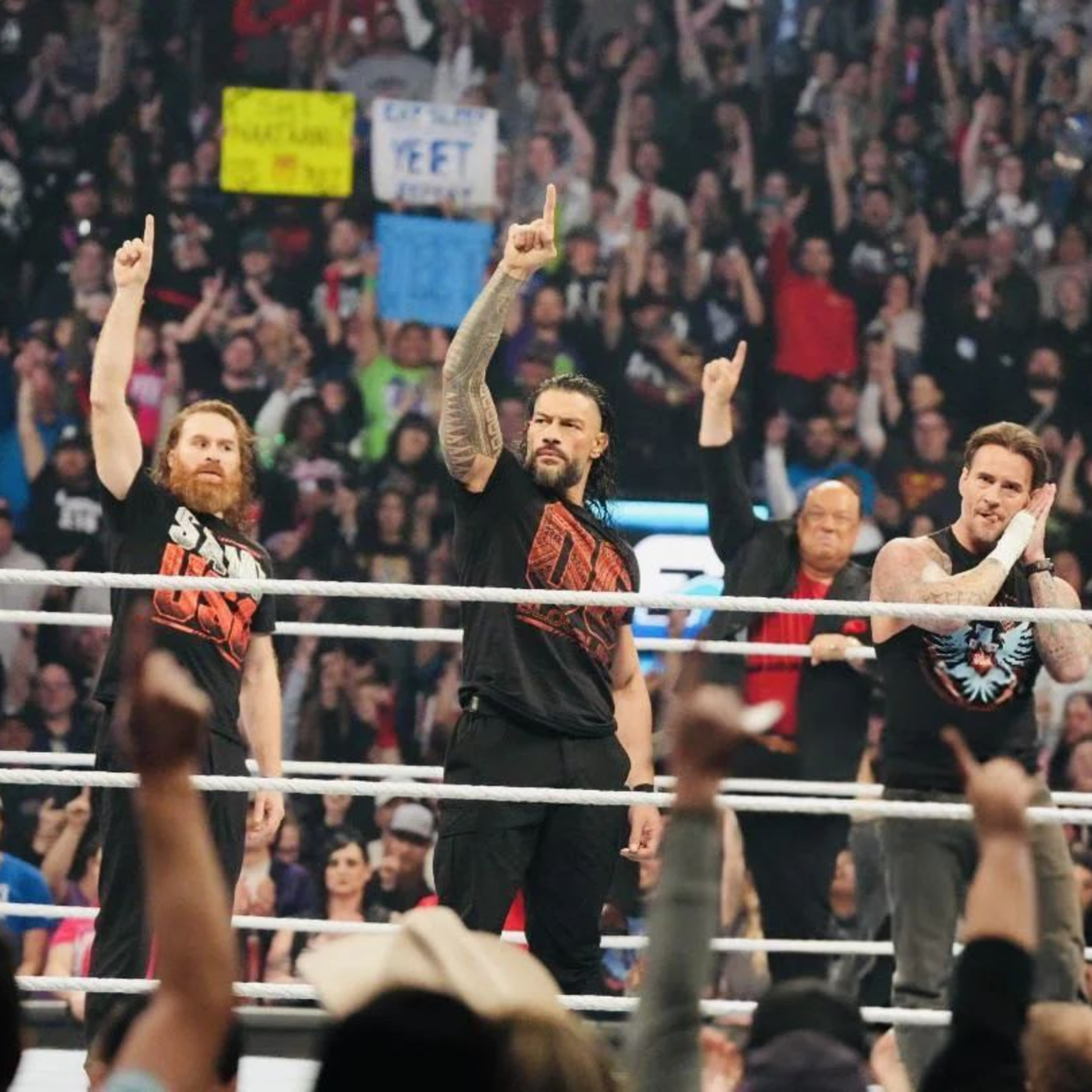 WWE Survivor Series 2024: Bloodline vs Bloodline  episode artwork