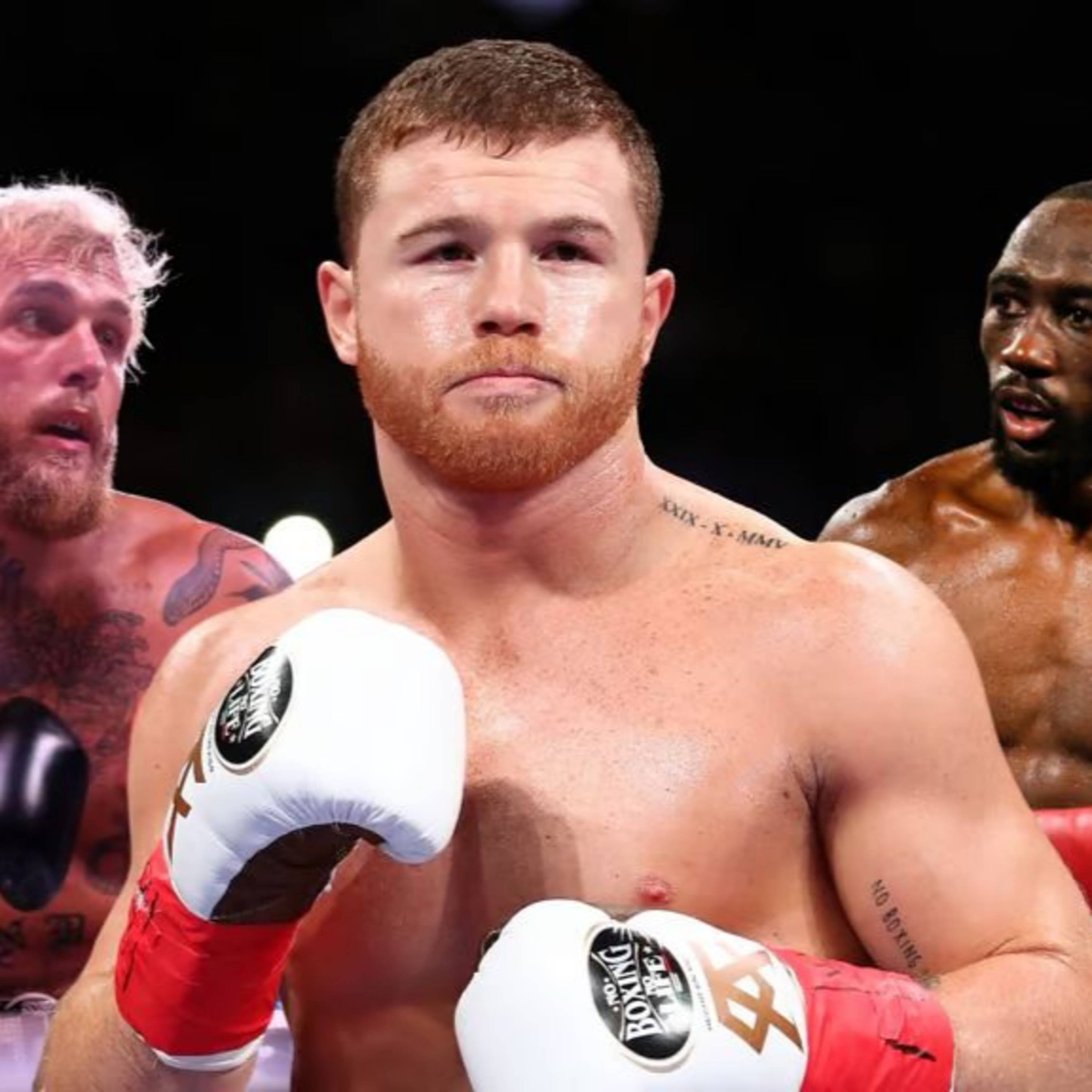 ¿Jake Paul vs Canelo Álvarez vs Terence Crawford? episode artwork