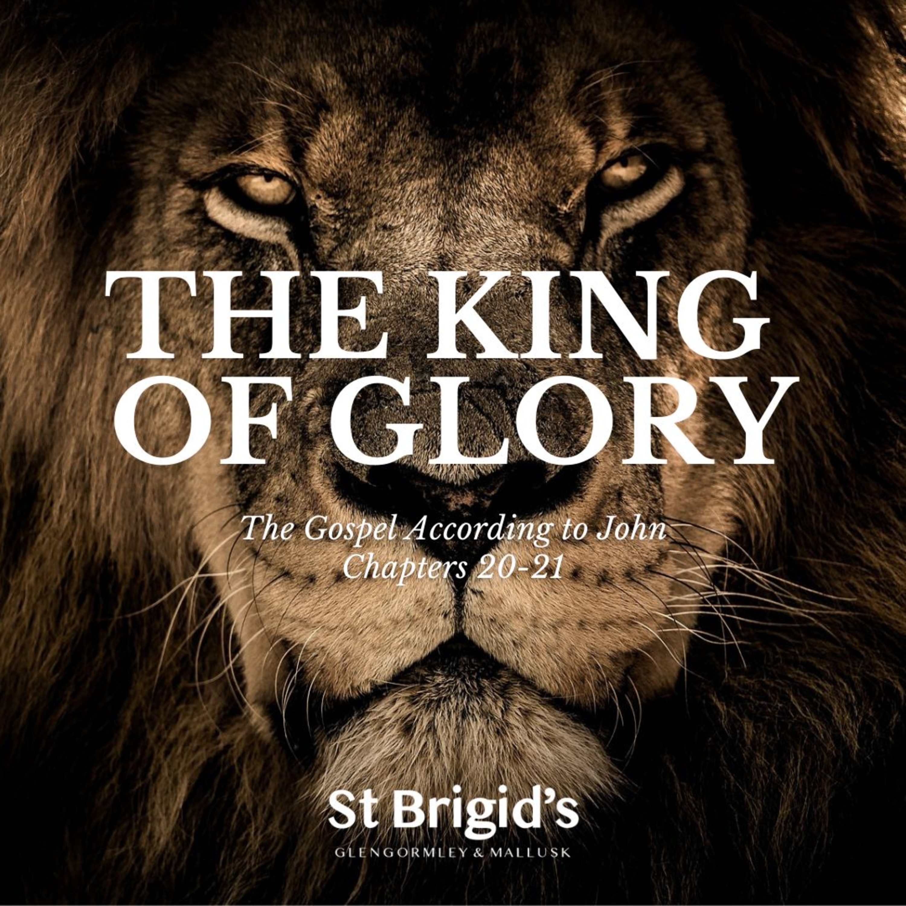 St Brigid\'s Sermons