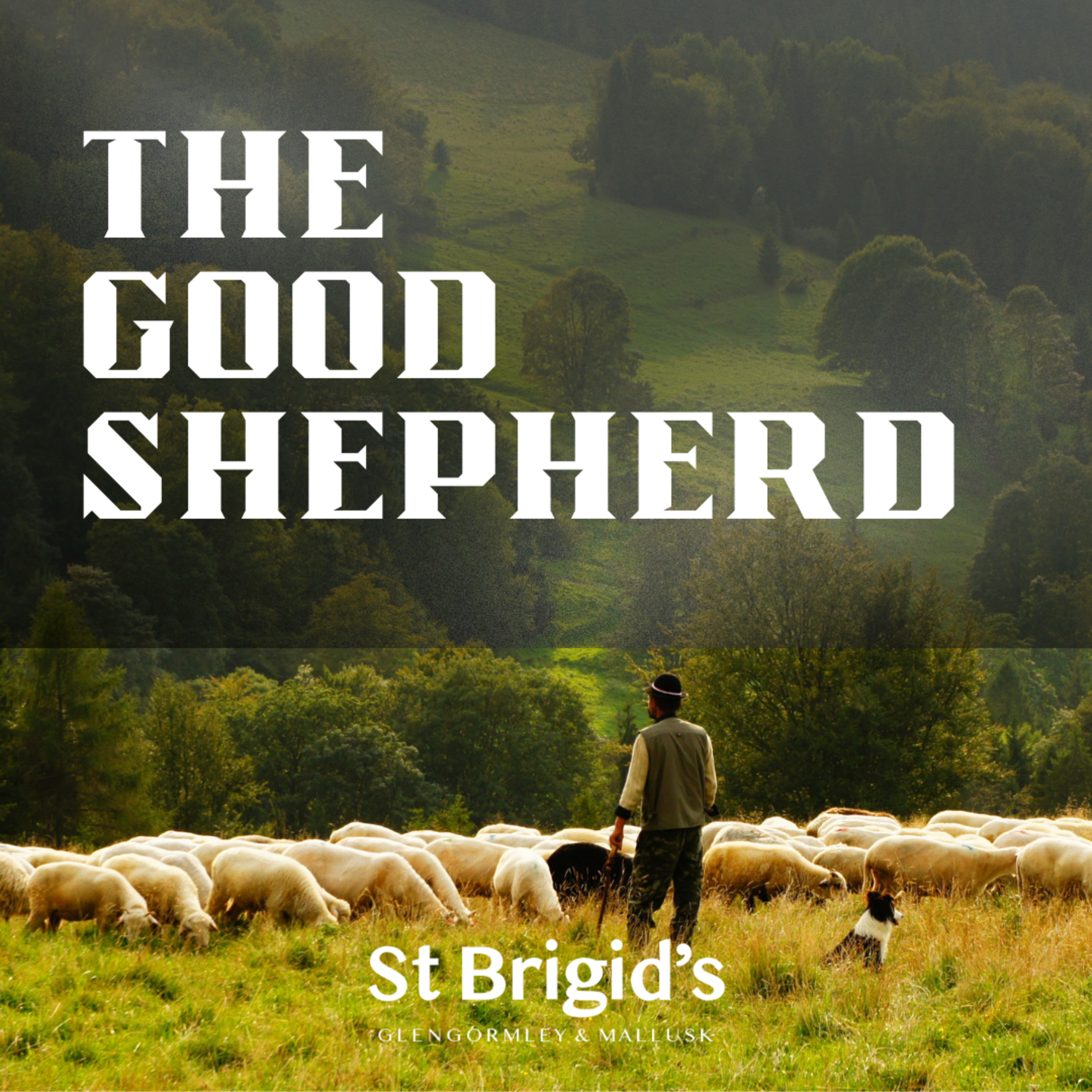 St Brigid\'s Sermons