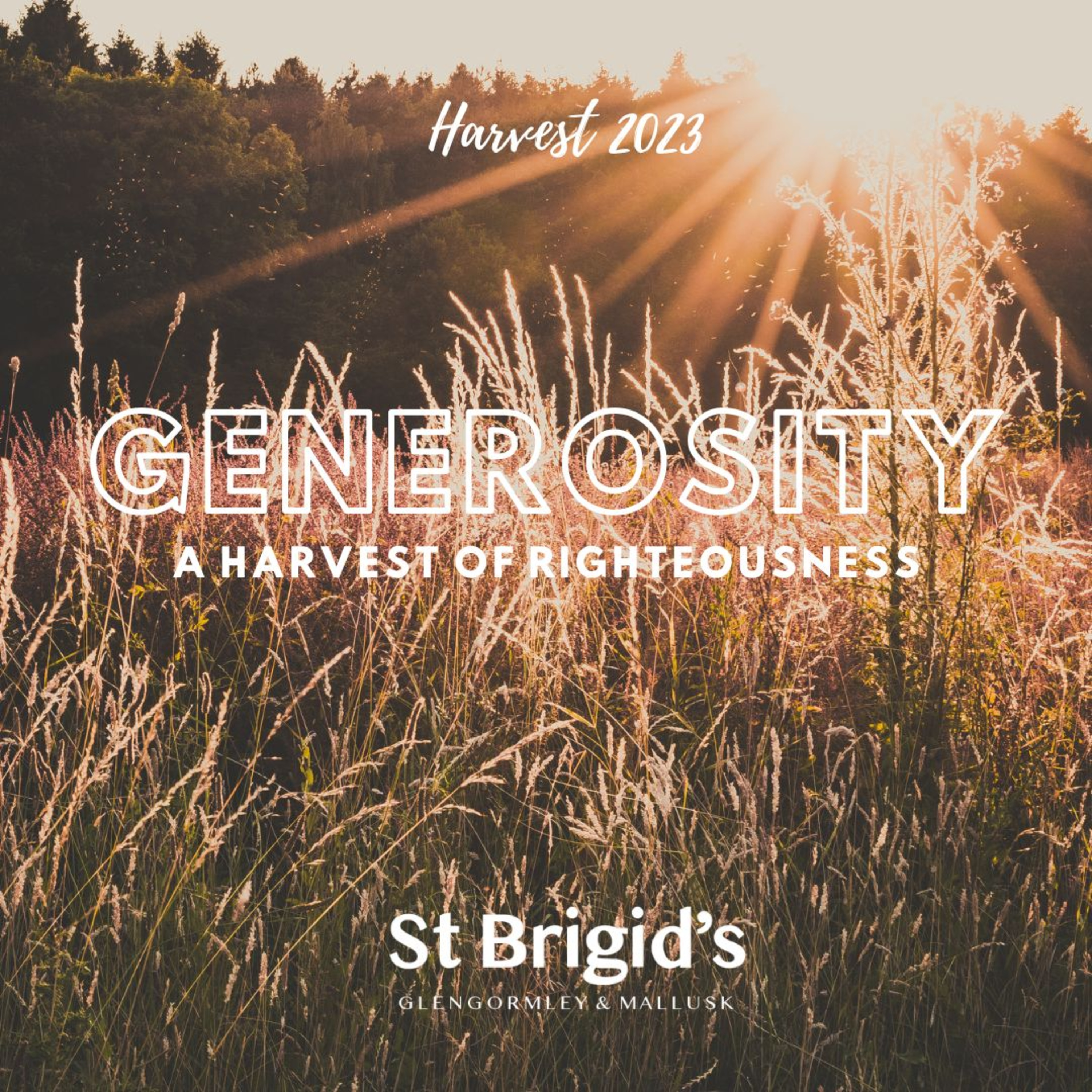 St Brigid\'s Sermons