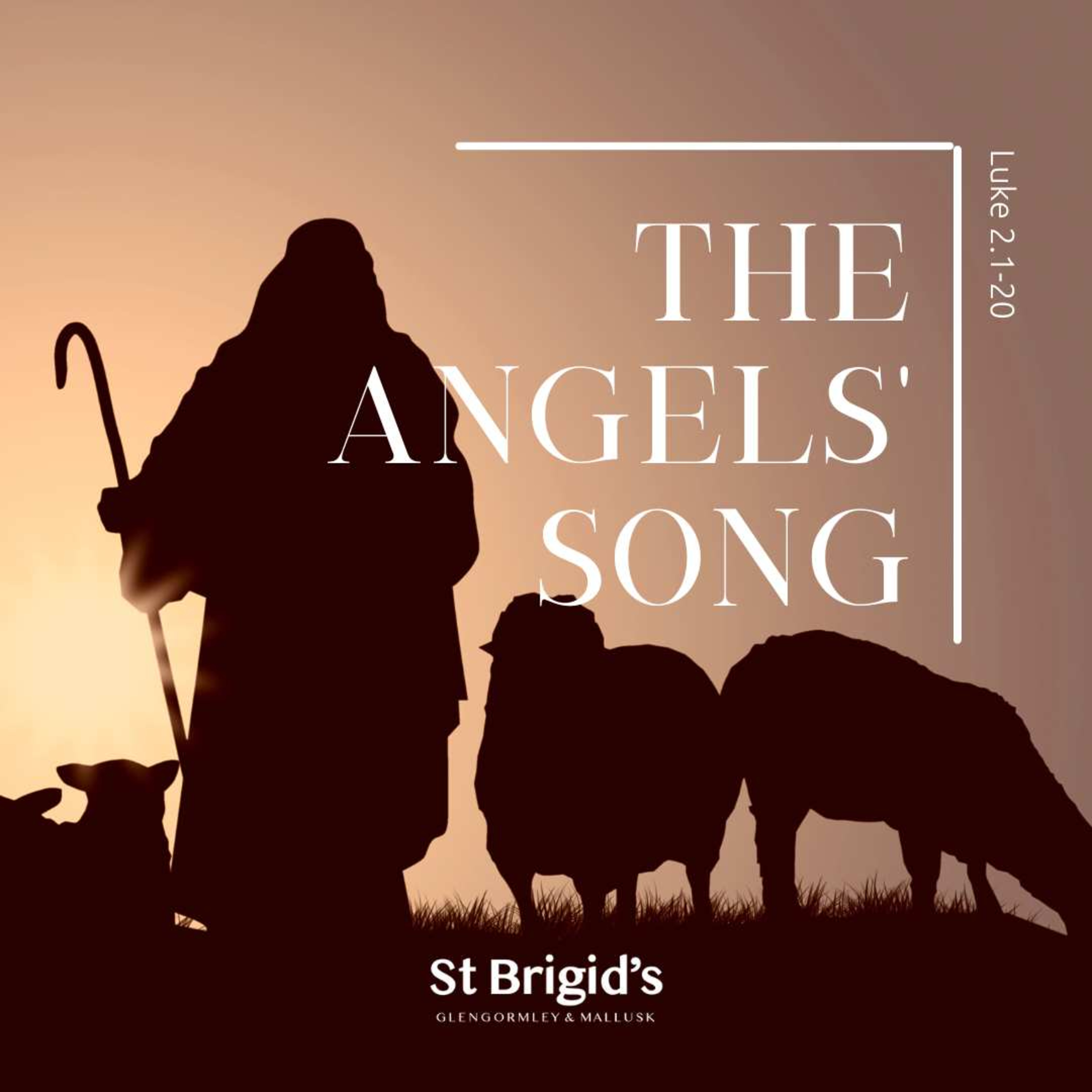 St Brigid\'s Sermons