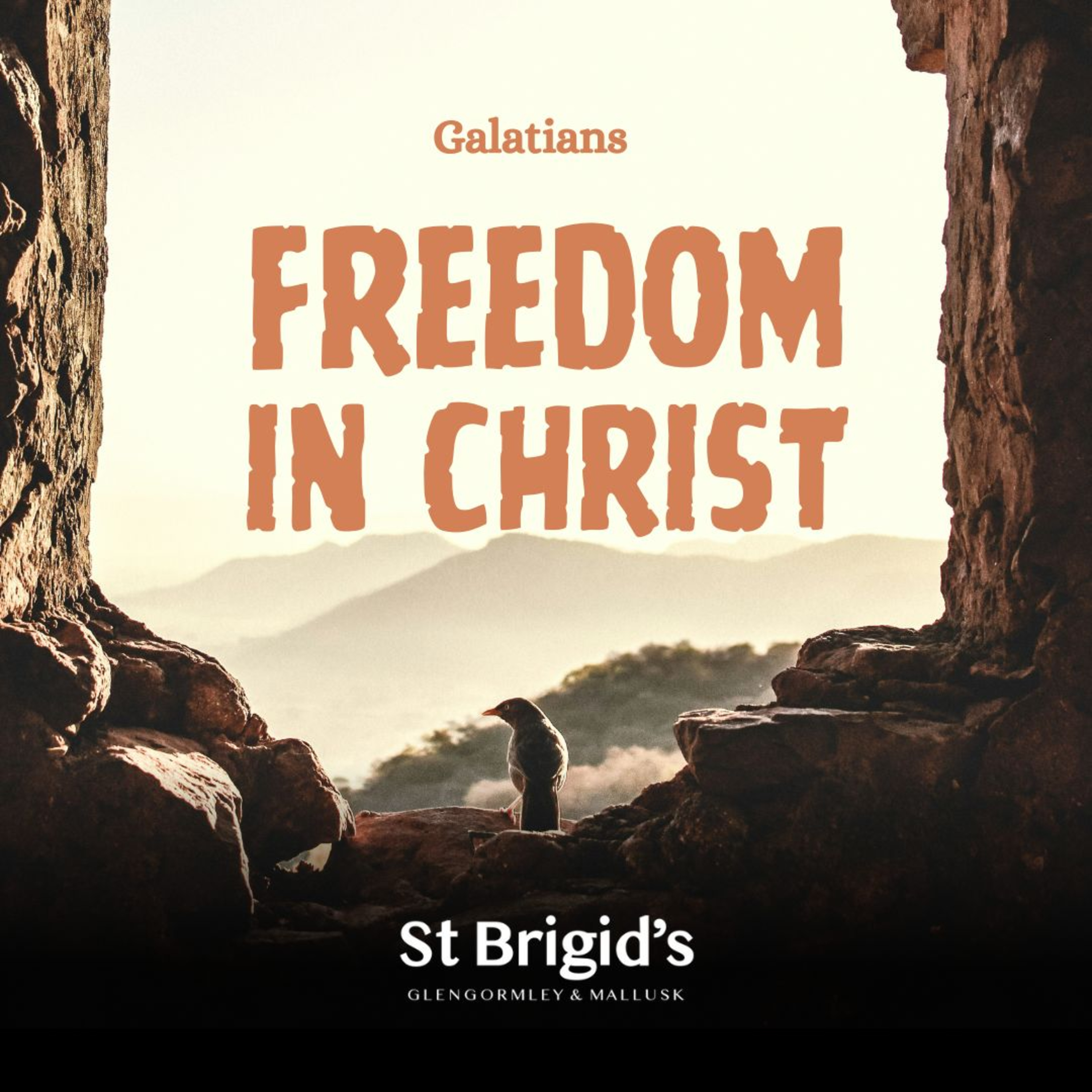 St Brigid\'s Sermons