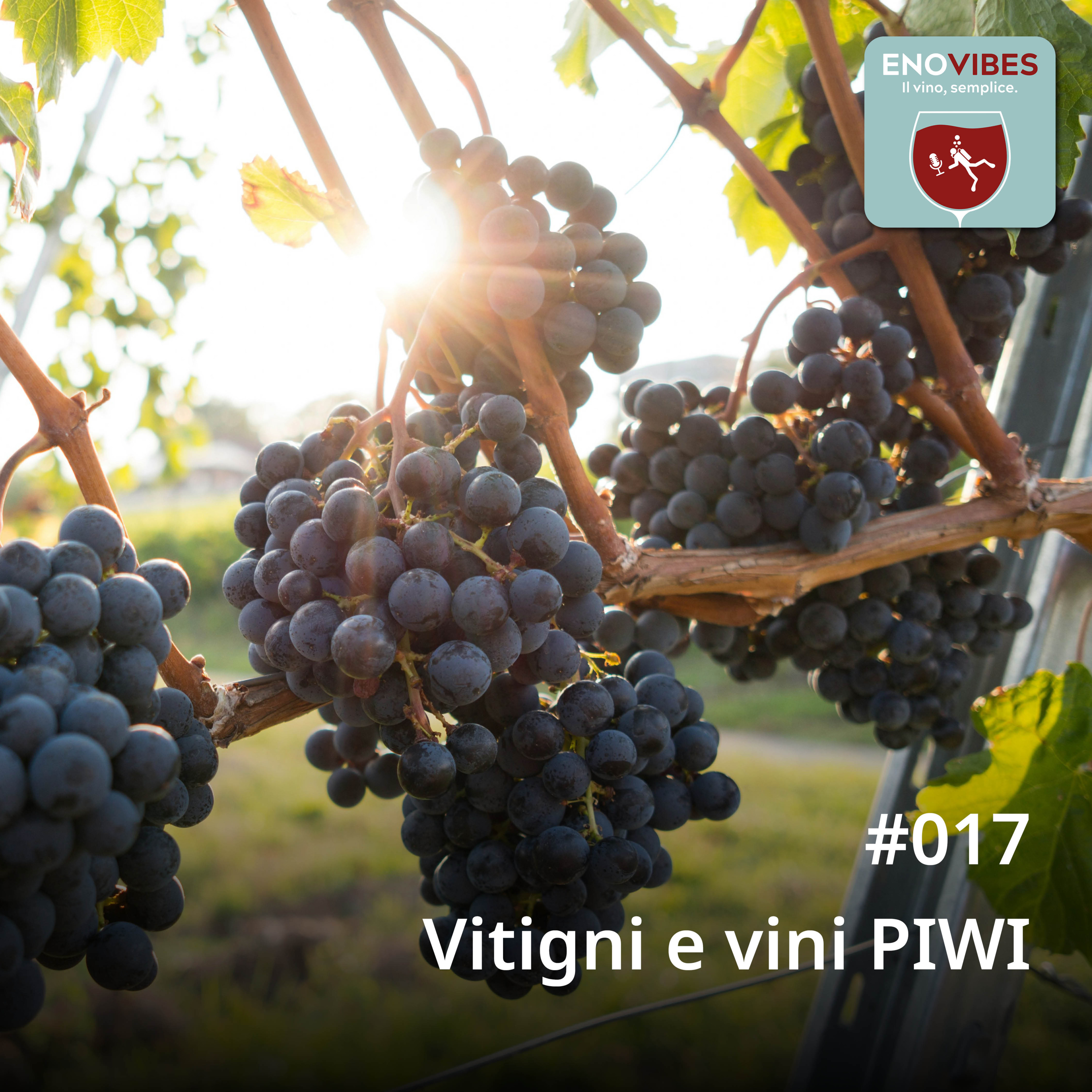 EnoVibes. Il vino, semplice.