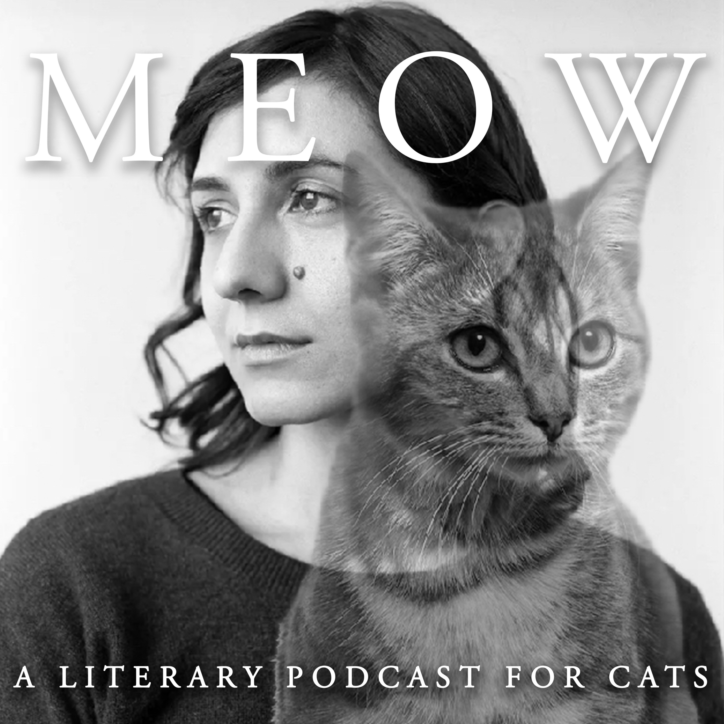 MEOW: A Literary Podcast for Cats