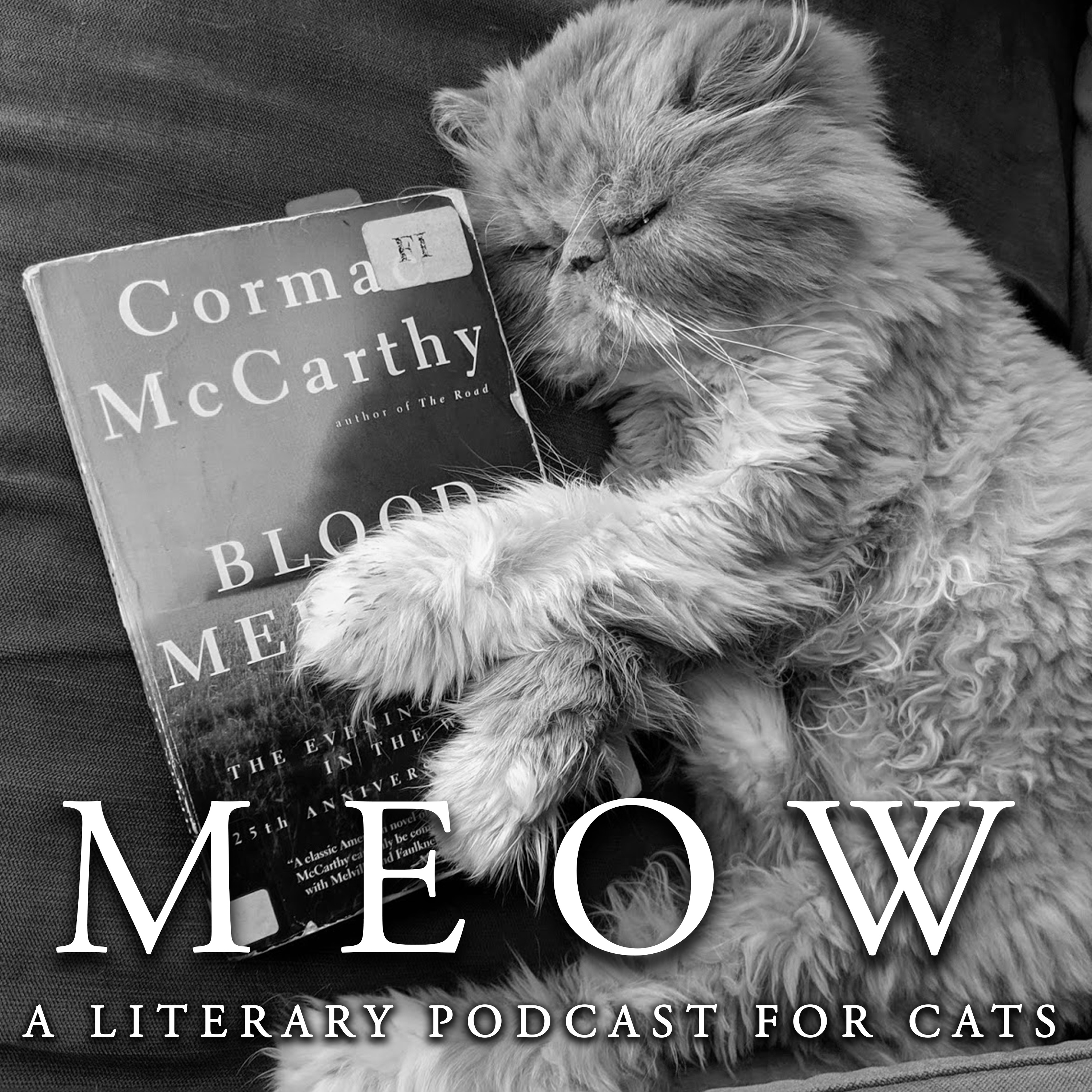 MEOW: A Literary Podcast for Cats