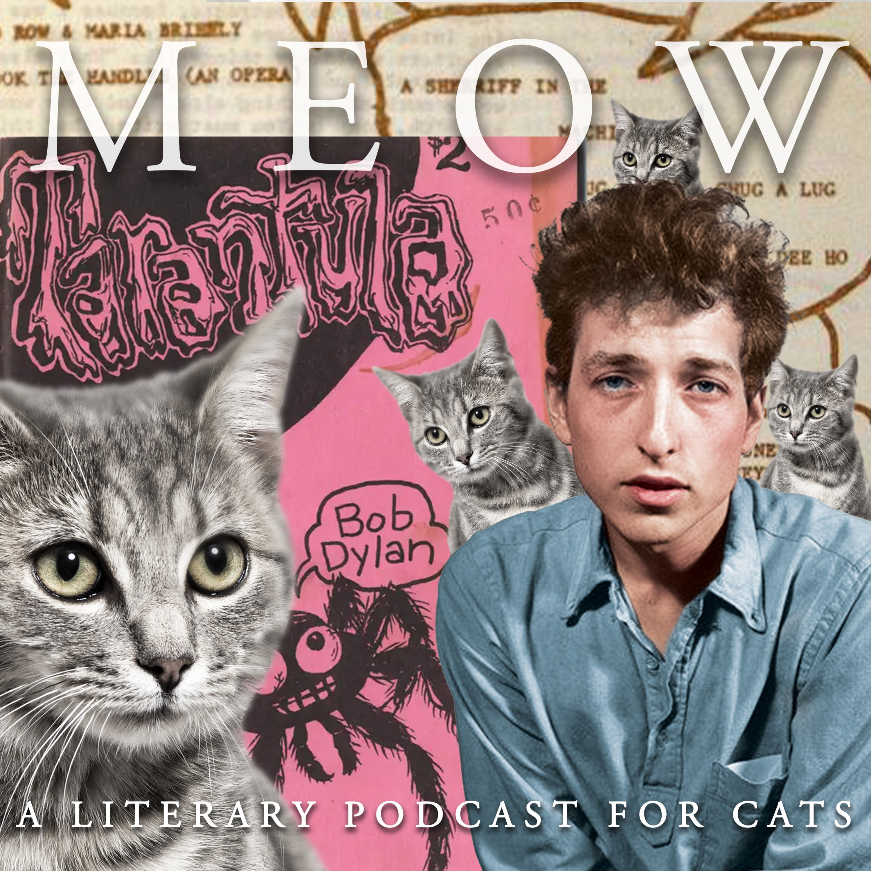 40. A Complete Unknown: Bob Dylan's Forgotten Avant-Garde Novel, Tarantula episode artwork