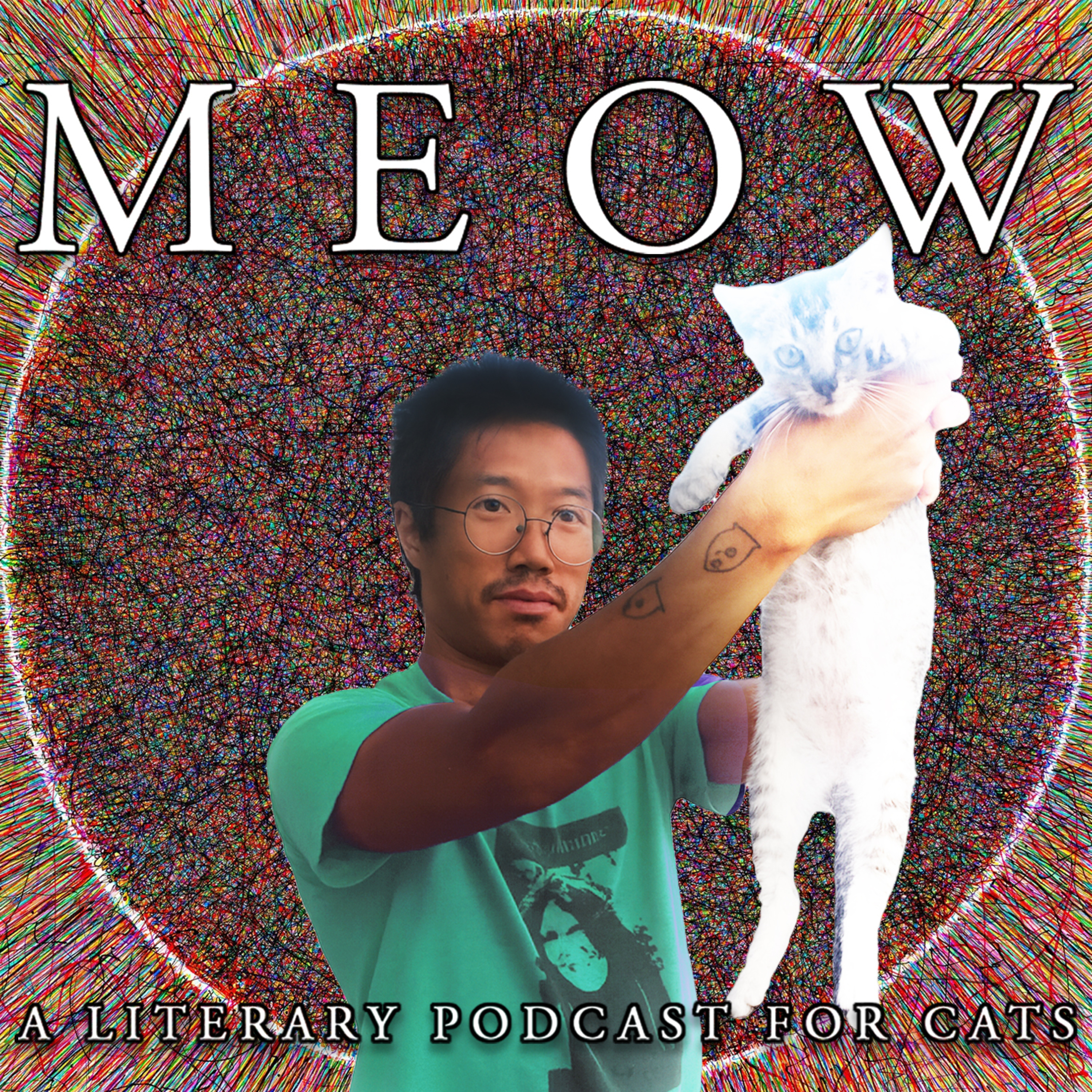 53. Tao Lin's Nini: Feline Autism, Ensoulment, and Self-Healing episode artwork