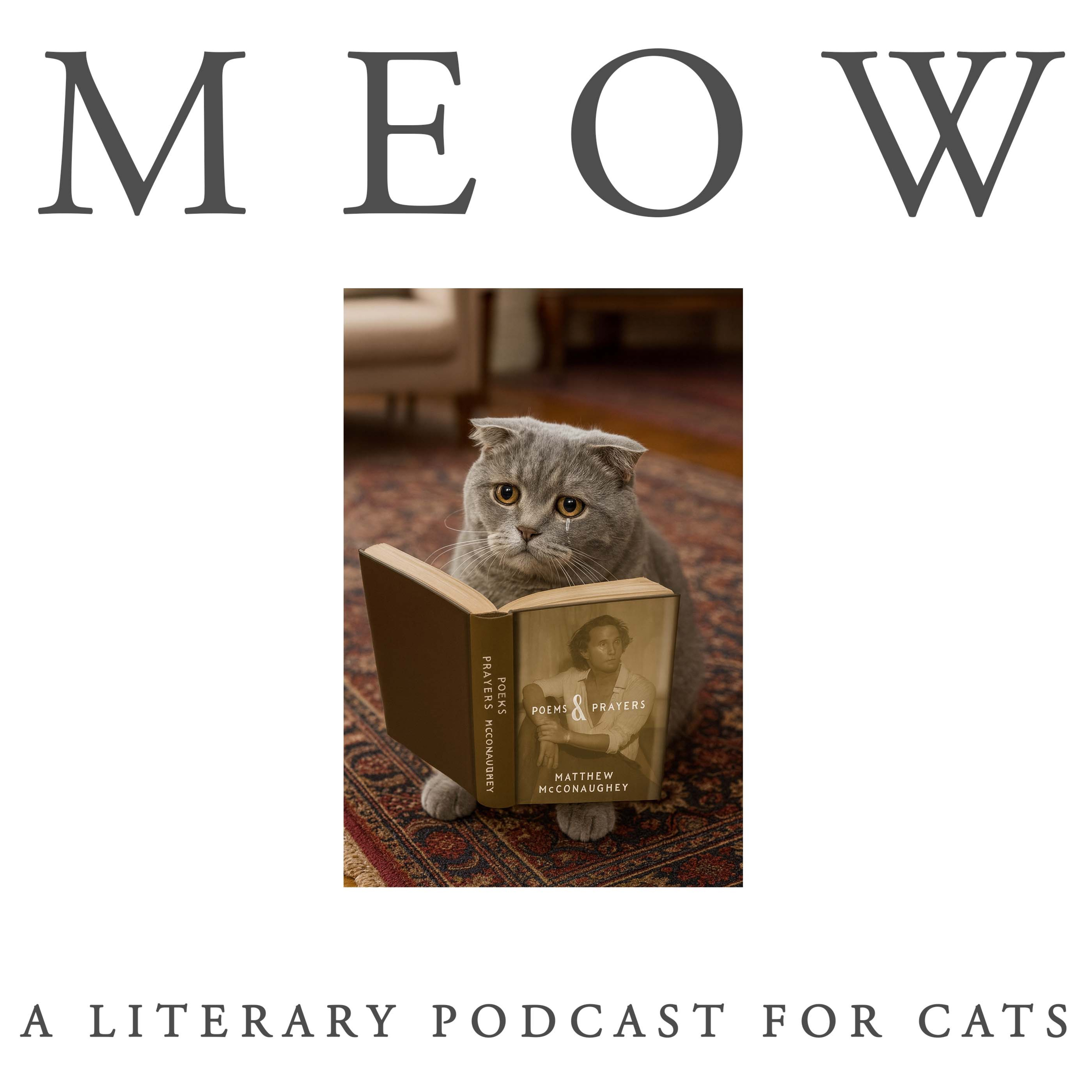 59. Matthew McConaughey's Poems and Prayers, Read For Your Cat episode artwork