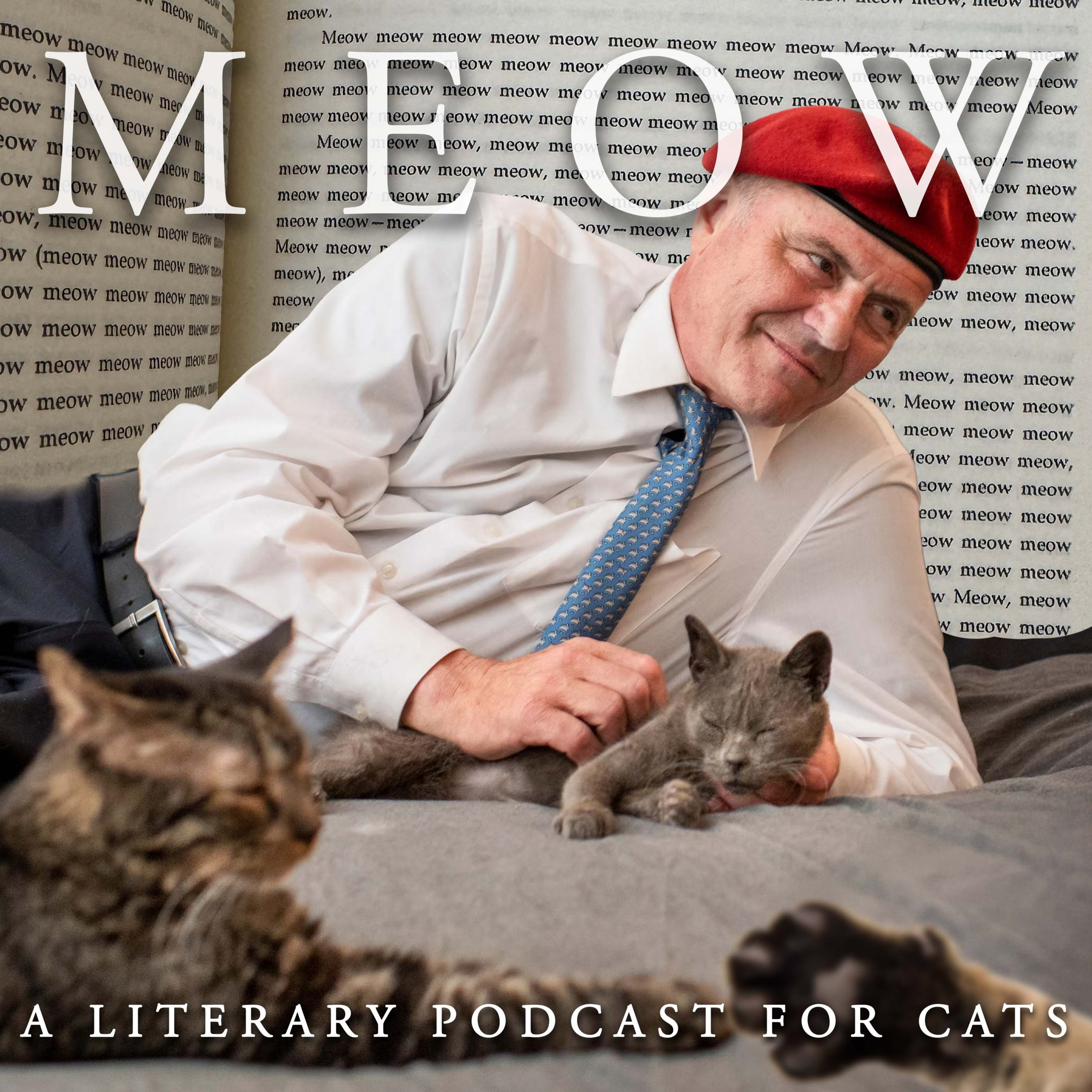 62. Curtis Sliwa's Cats Fire Back at Trump With Eloquent, 22-Page Written Statement episode artwork