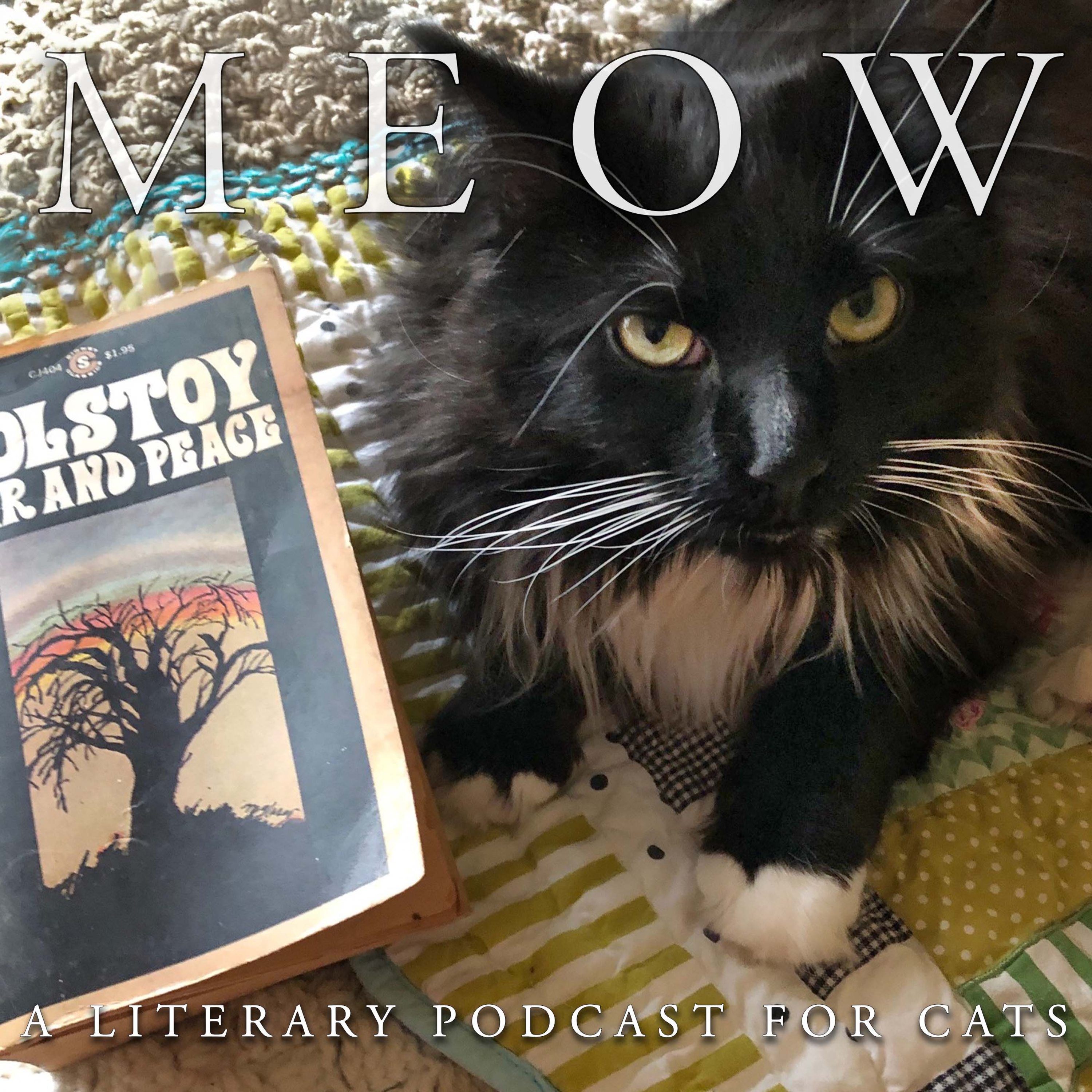 63. Will Joyce Carol Oates' Cat Ever Finish War and Peace?  episode artwork