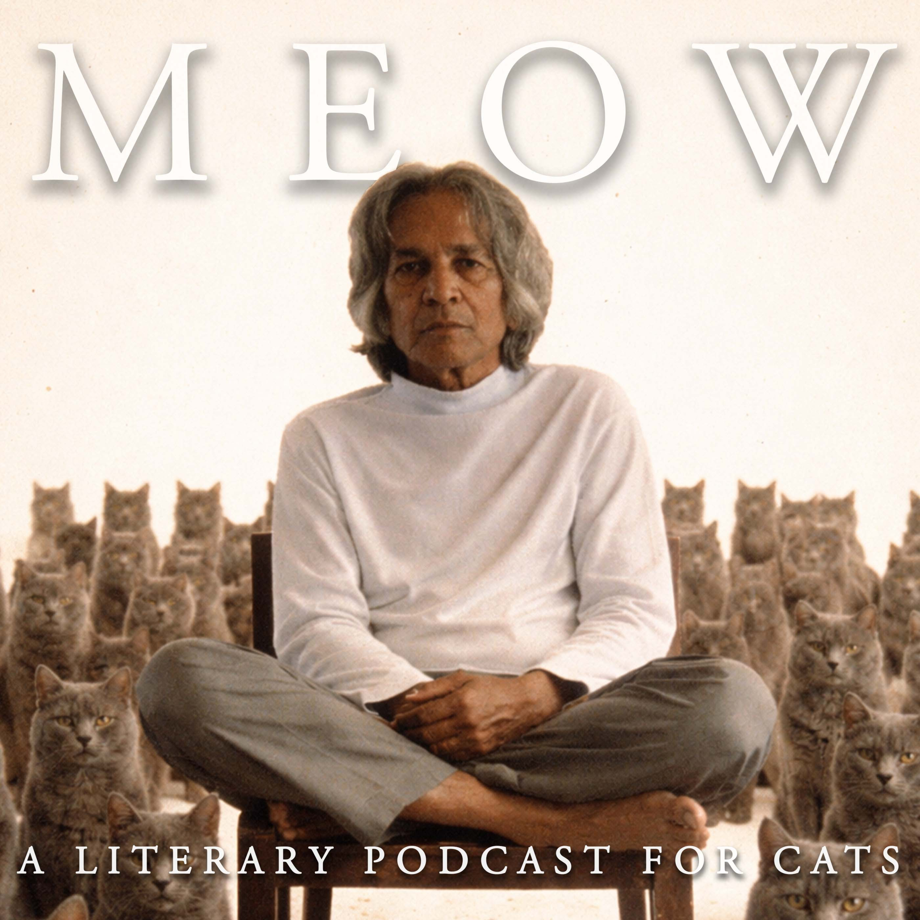 69. U.G. Krishnamurti: There's No Difference Between the Cat and You episode artwork