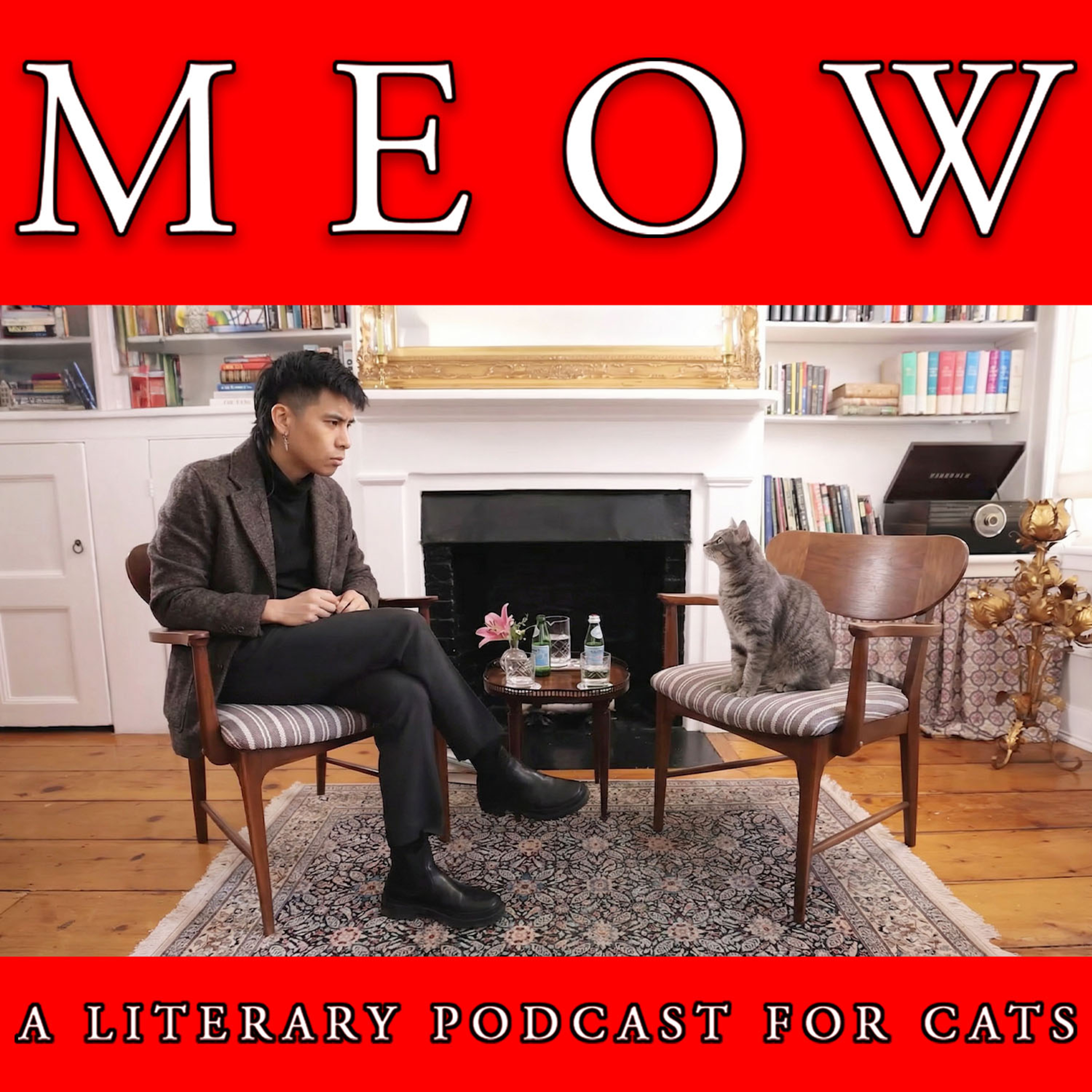 77. Is Ocean Vuong Right About AI’s Standardization of Literature?  episode artwork
