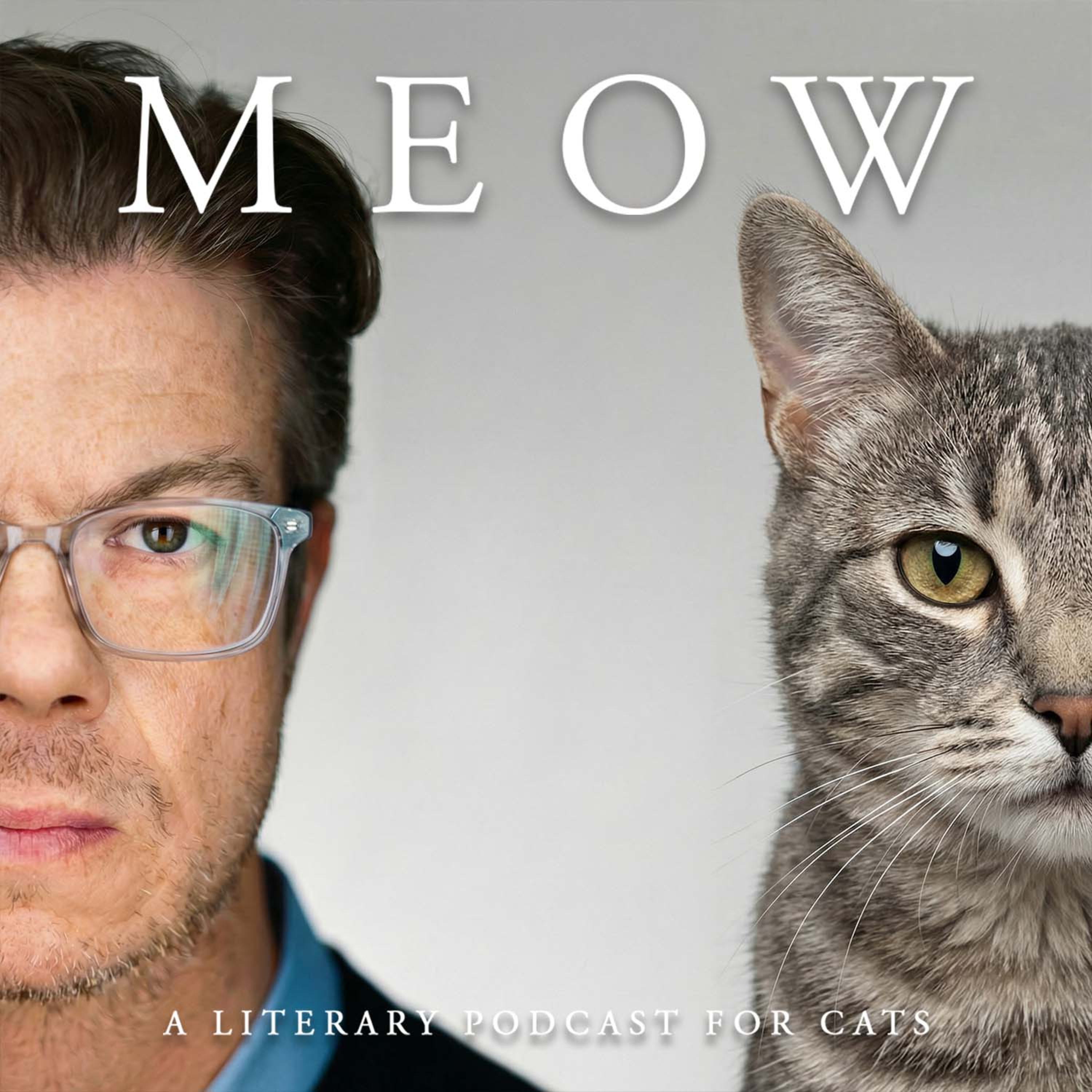 78. Can Ben Lerner's Transcription Resurrect the Novel? episode artwork