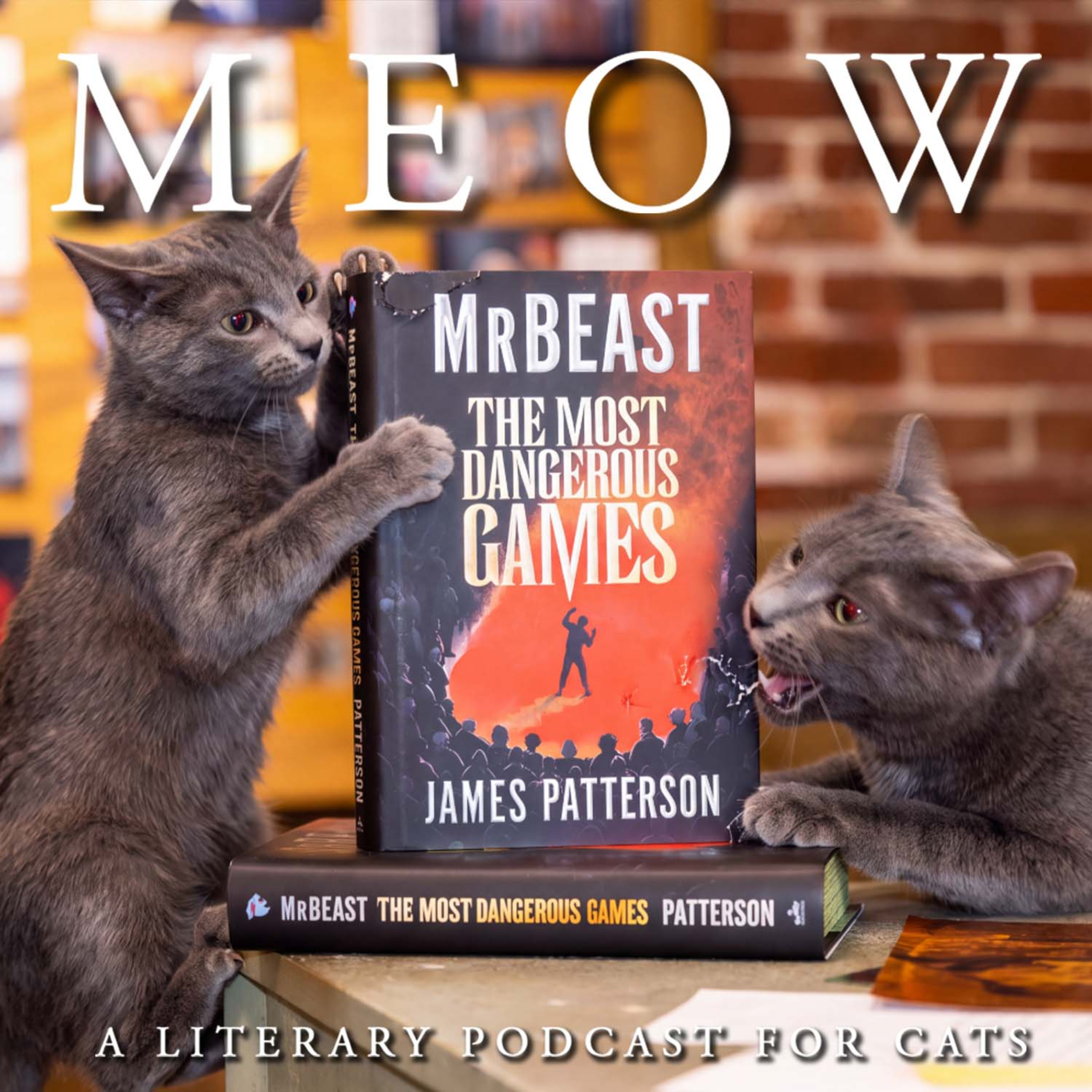 93. MrBeast x James Patterson's The Most Dangerous Games: A Book for People Who Hate Reading episode artwork