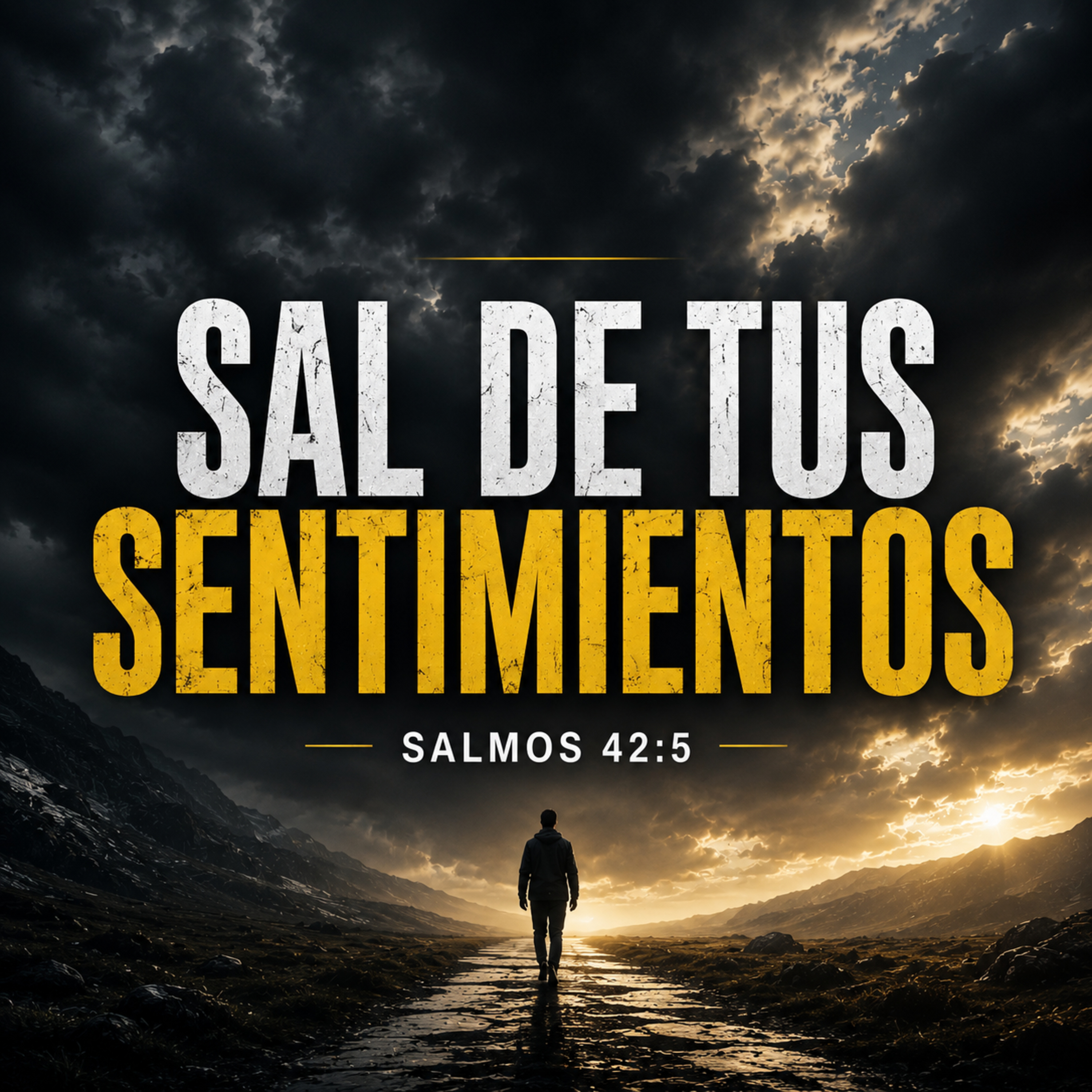 Sal De Tus Sentimientos episode artwork