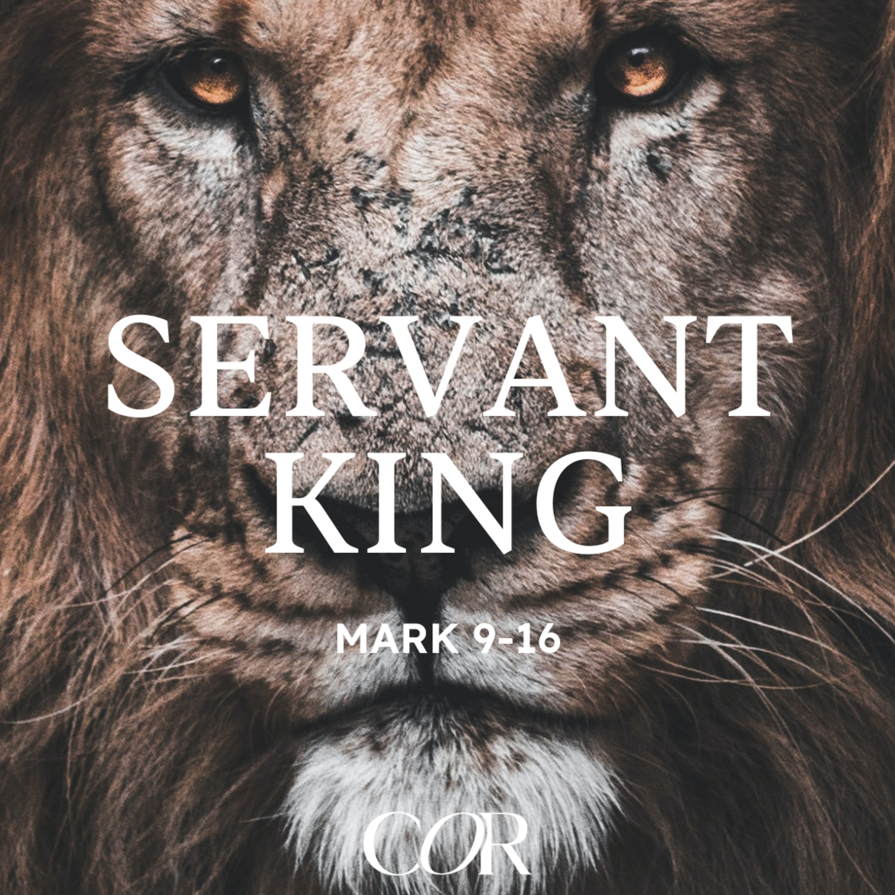 Christ our Refuge