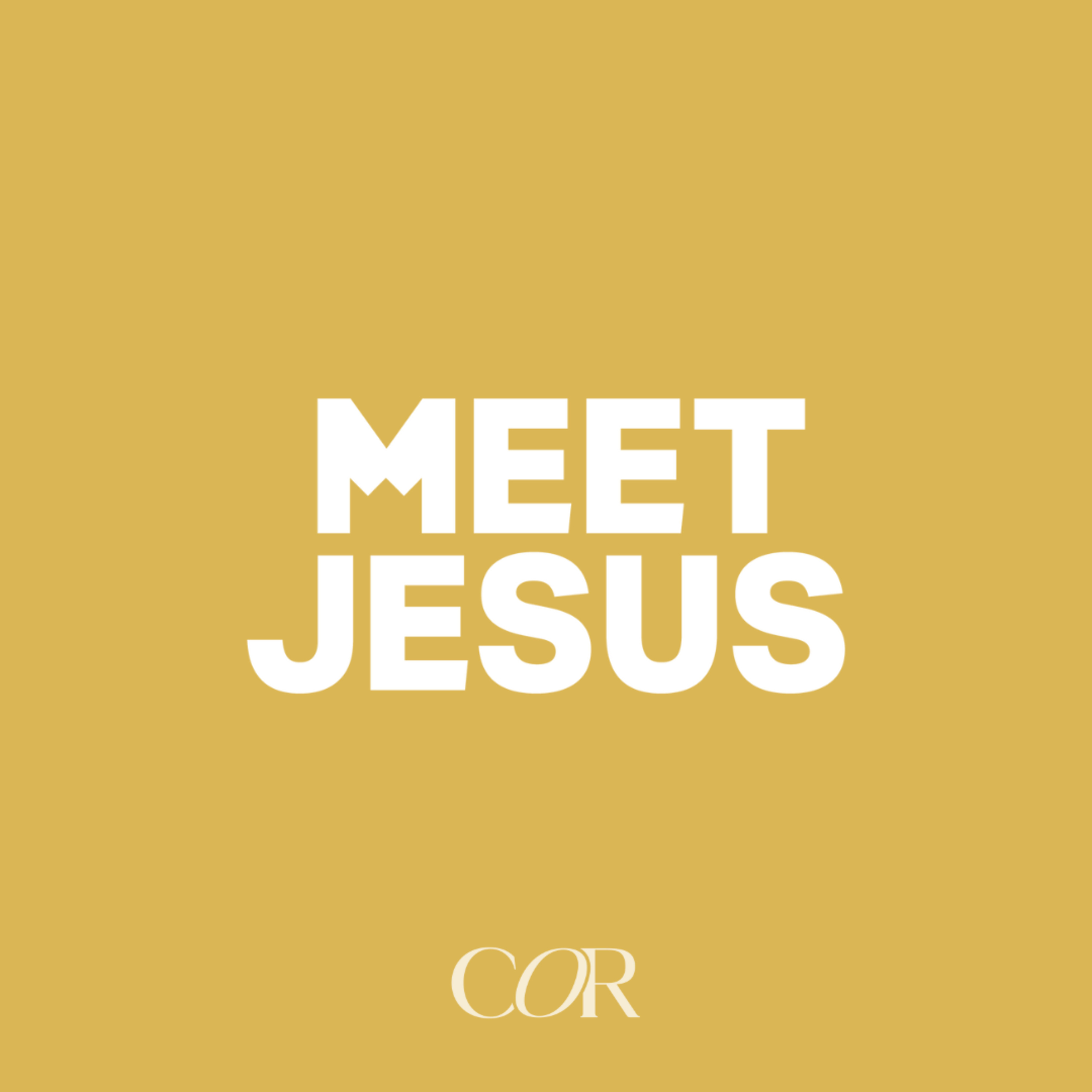John 3:1-15 - You Must Be Born Again | Will Ross episode artwork