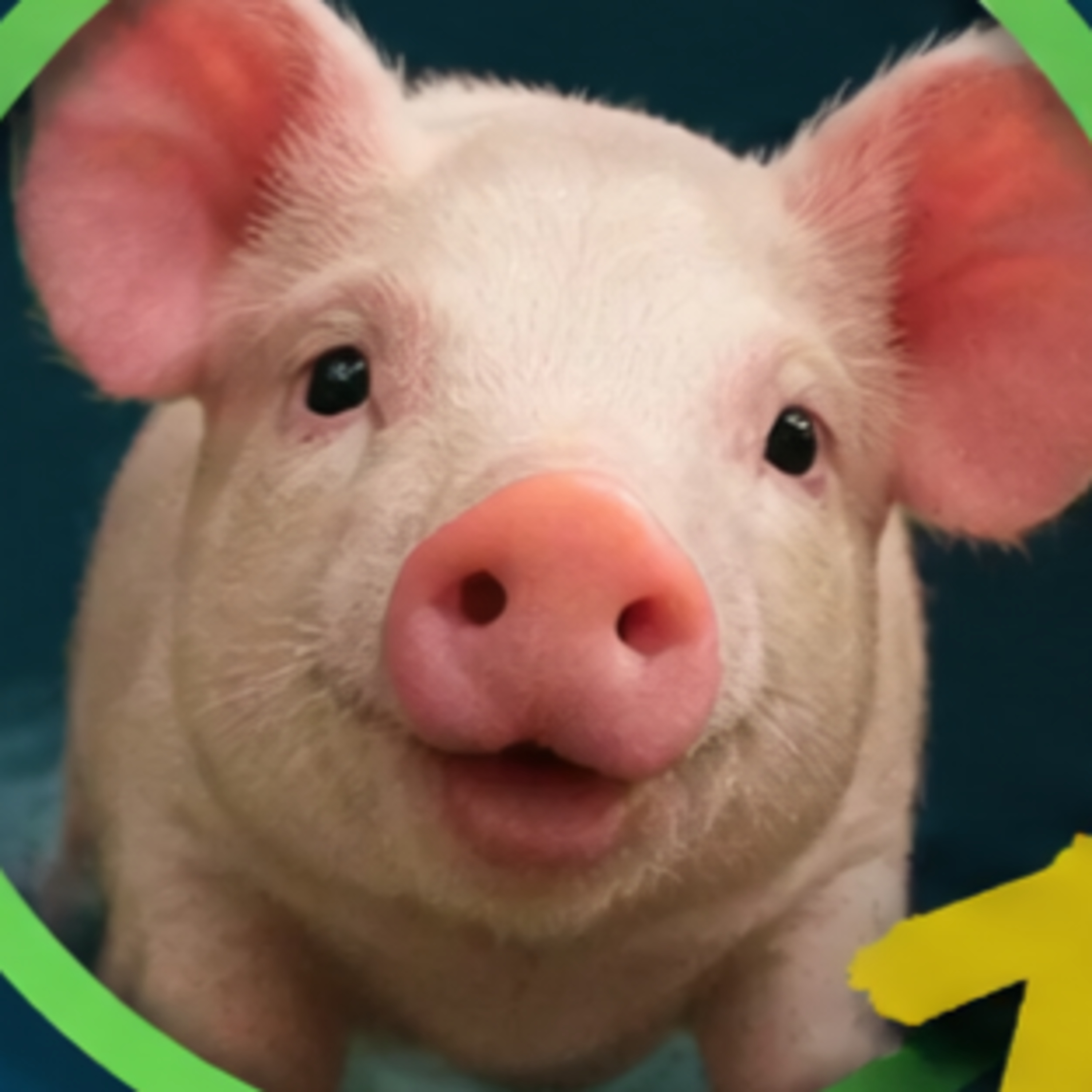 Ifá and the Pig