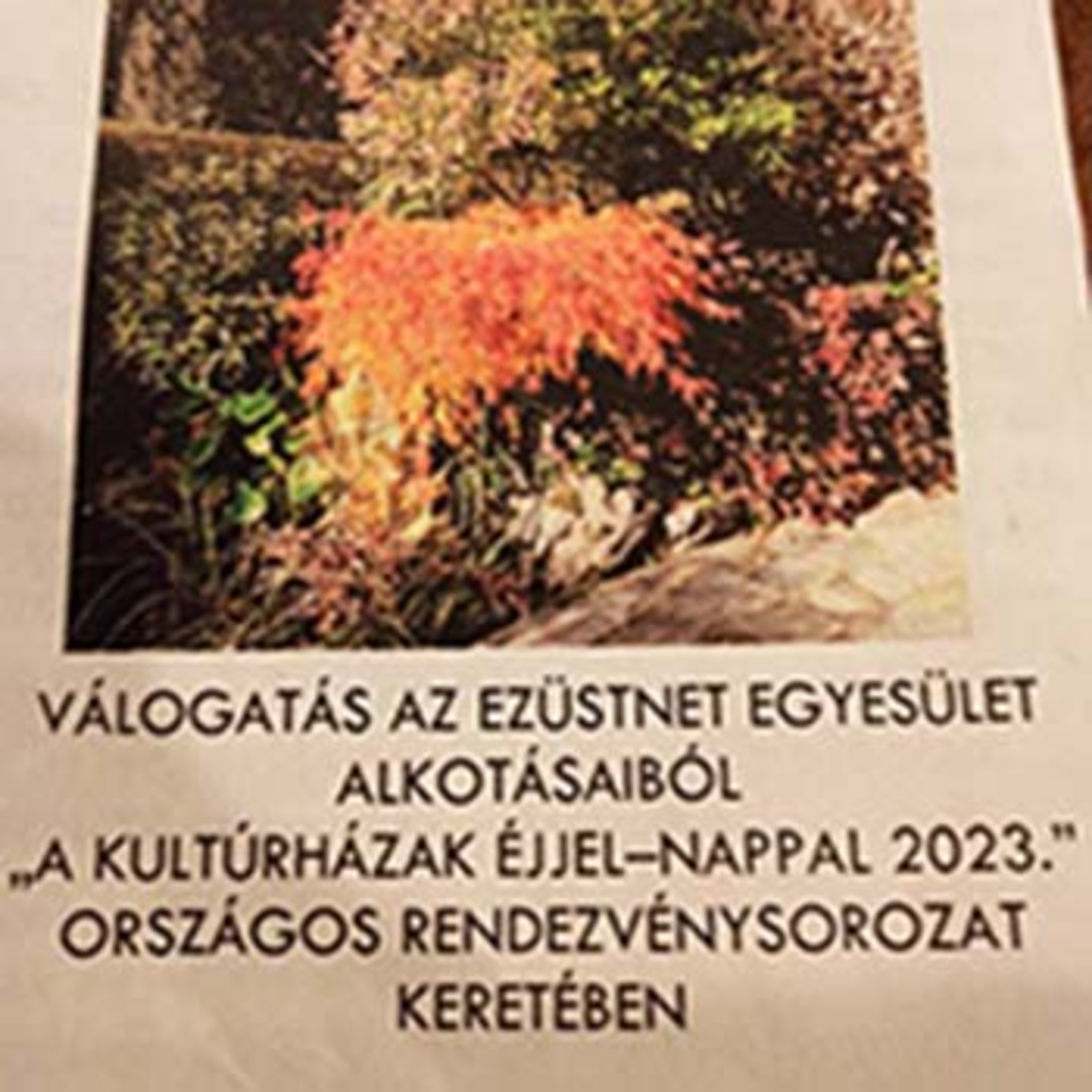 VADÓCZ ZSUZSA kiállításrendező - Áment Zsóka - 2023-10 episode artwork