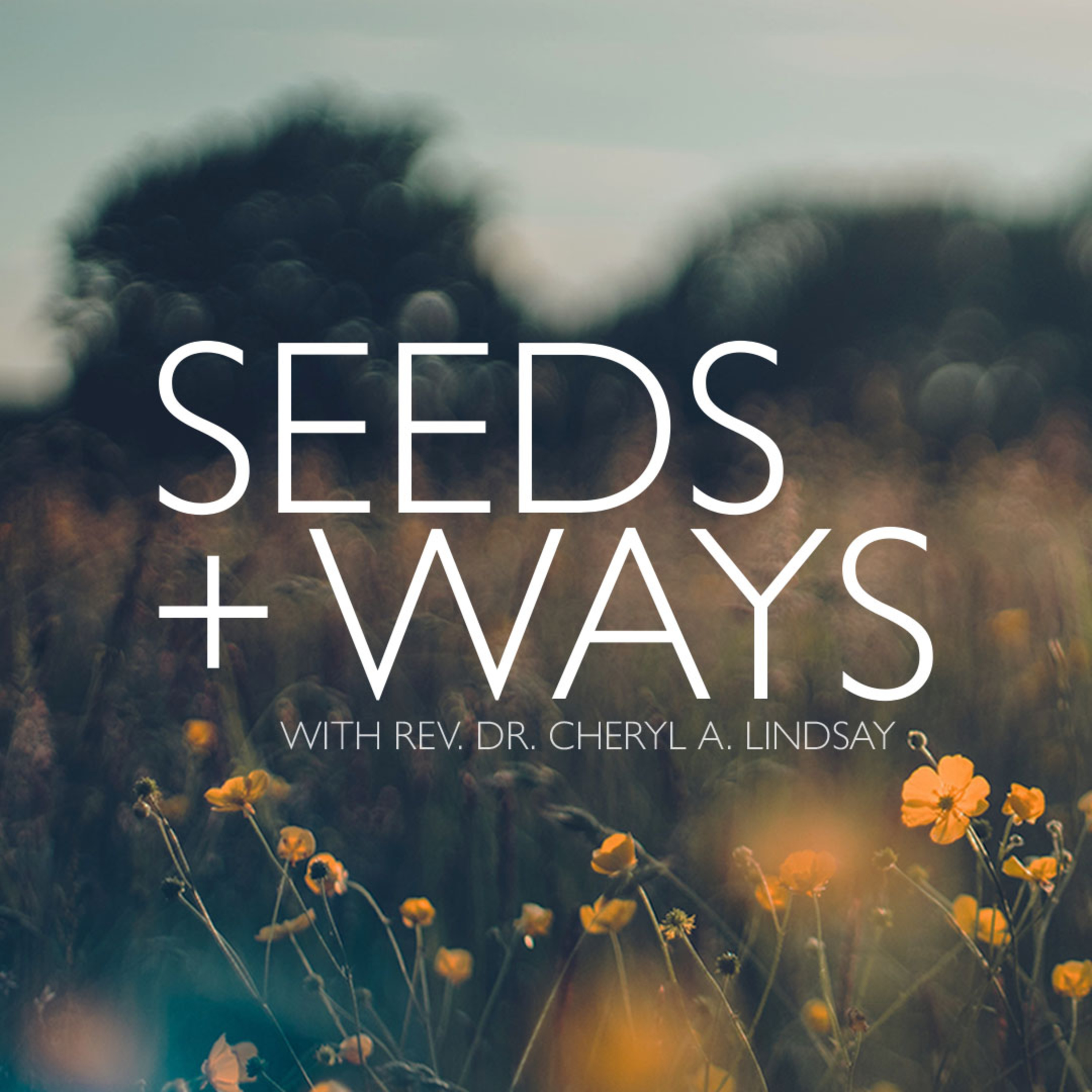 "Again Rejoice" - Third Sunday of Advent in Year C - Seeds & Ways