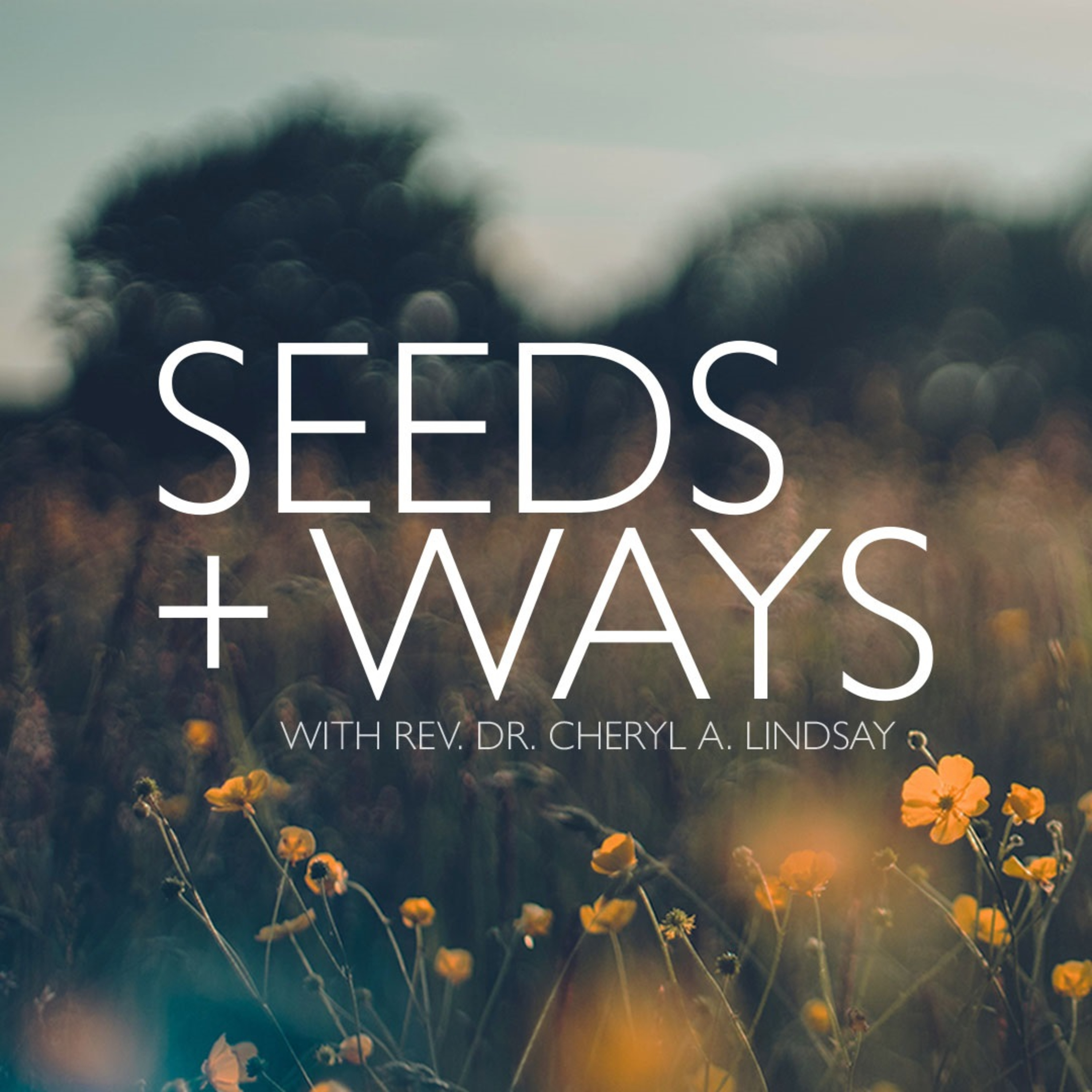 "Journeyed on by Stages" - Second Sunday after Pentecost Year A - Seeds & Ways episode artwork