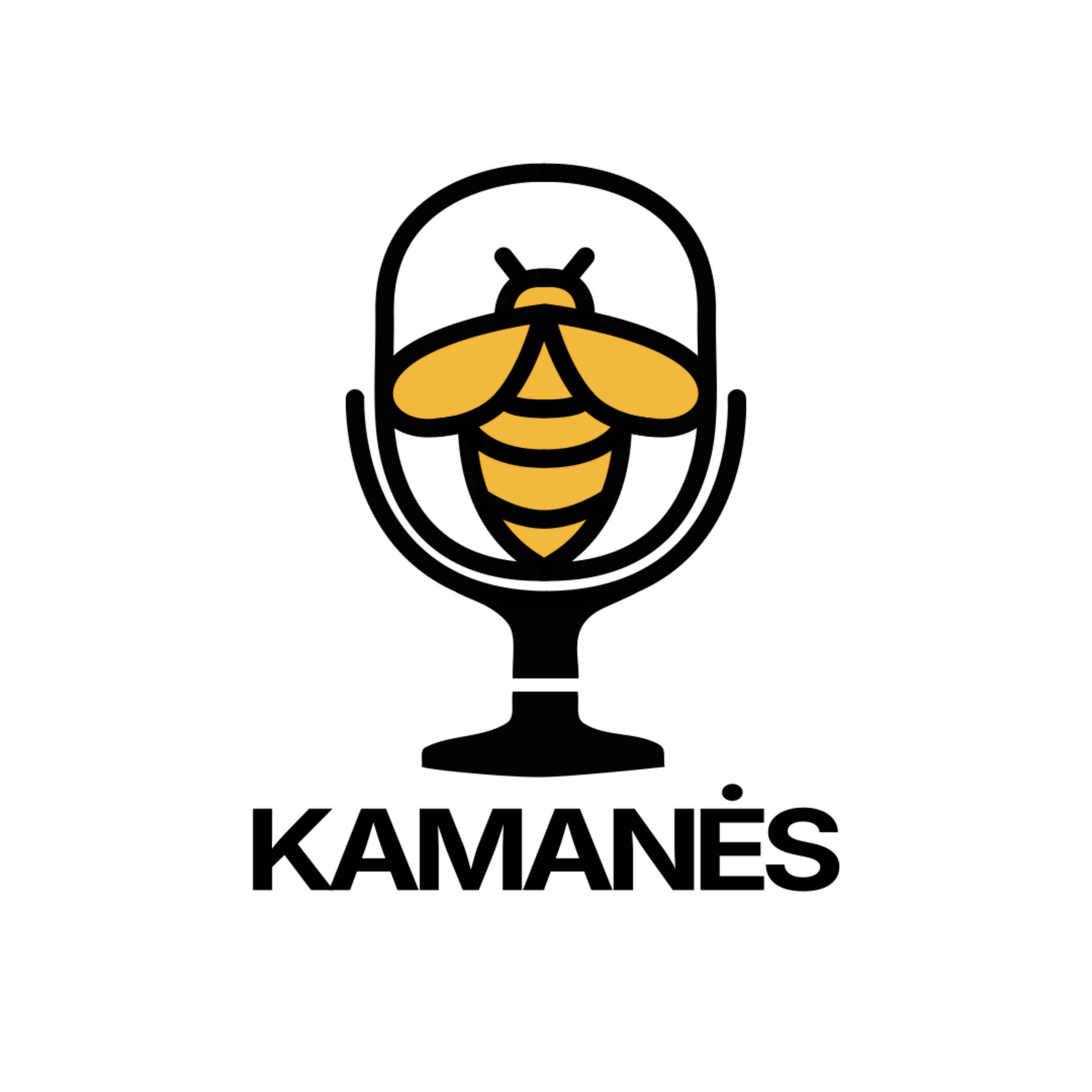 Kamanės #2: Dabar vaikus auginti yra lengviau? Su Vaida Ivaniukaite