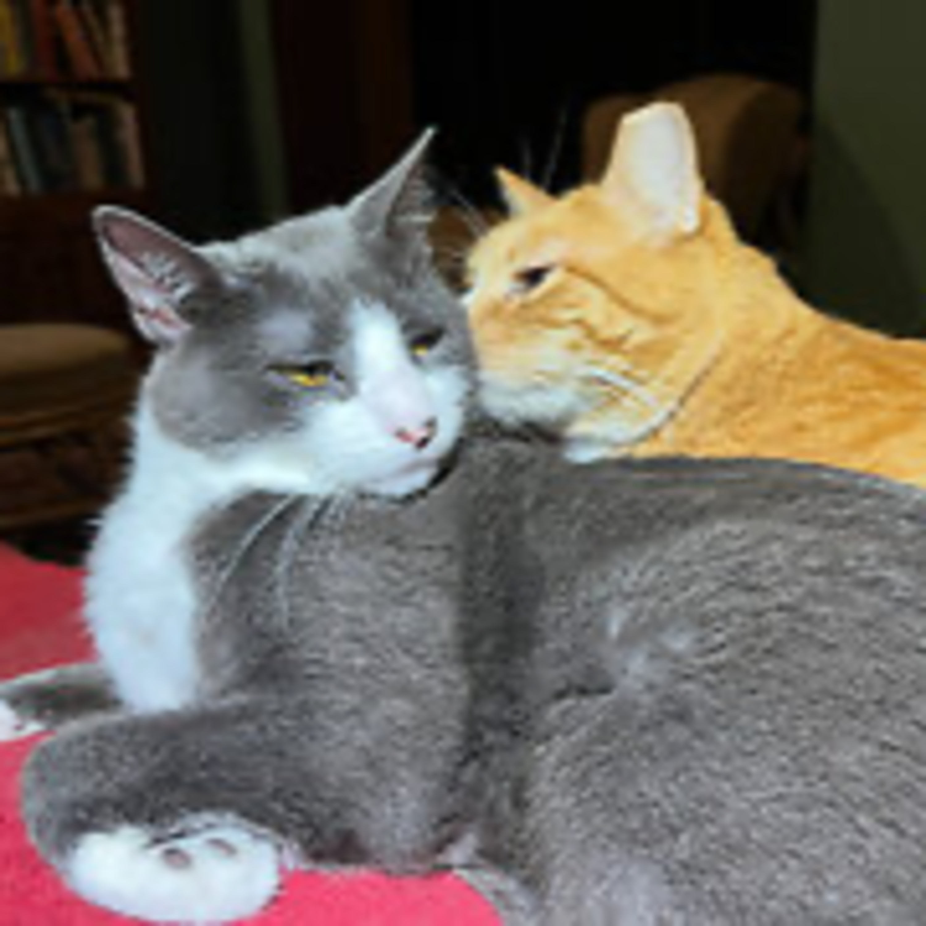 Episode 2977 CWSA 10/03/25