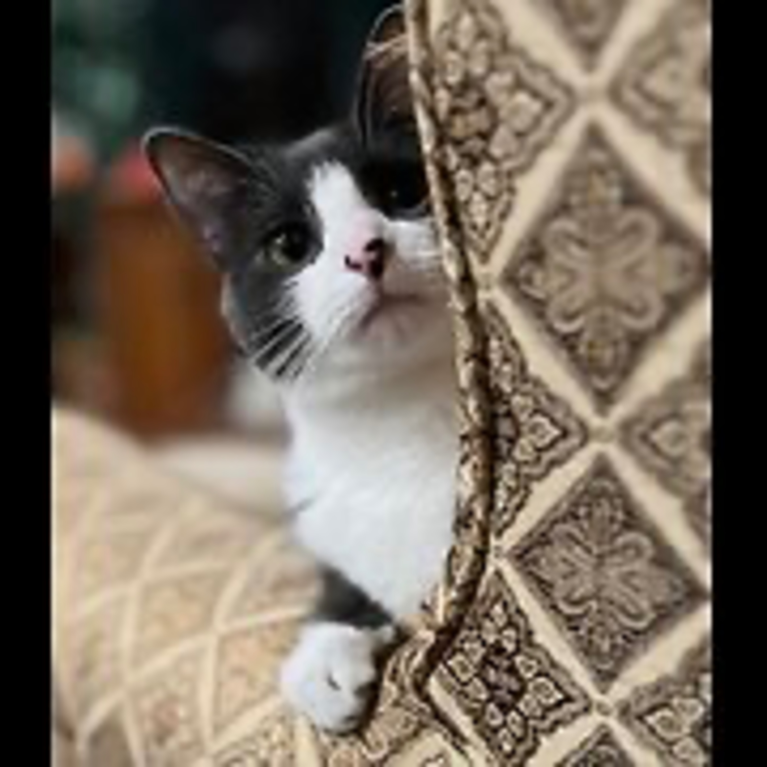 Episode 3025 CWSA 11/21/25