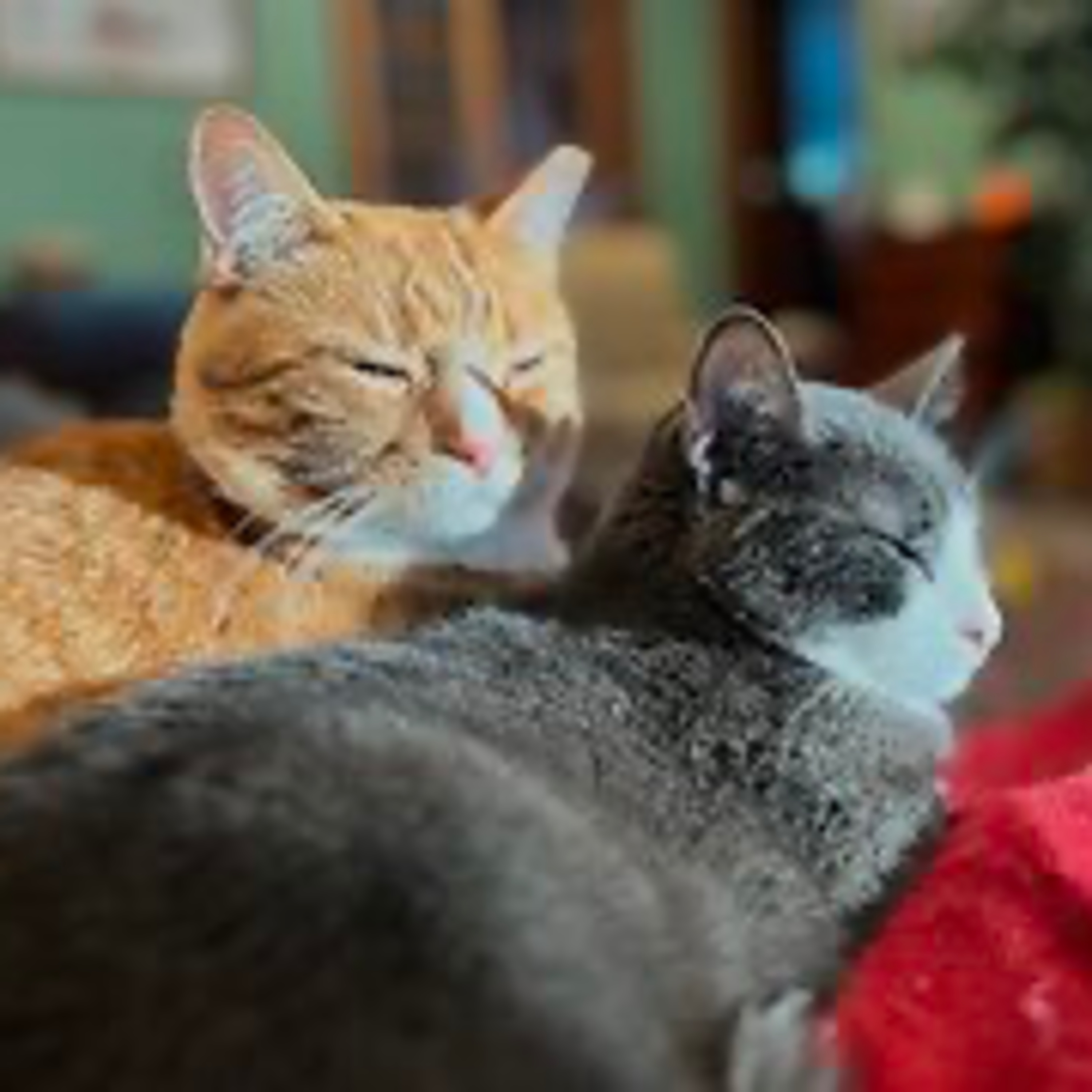 Episode 3035 CWSA 12/03/25