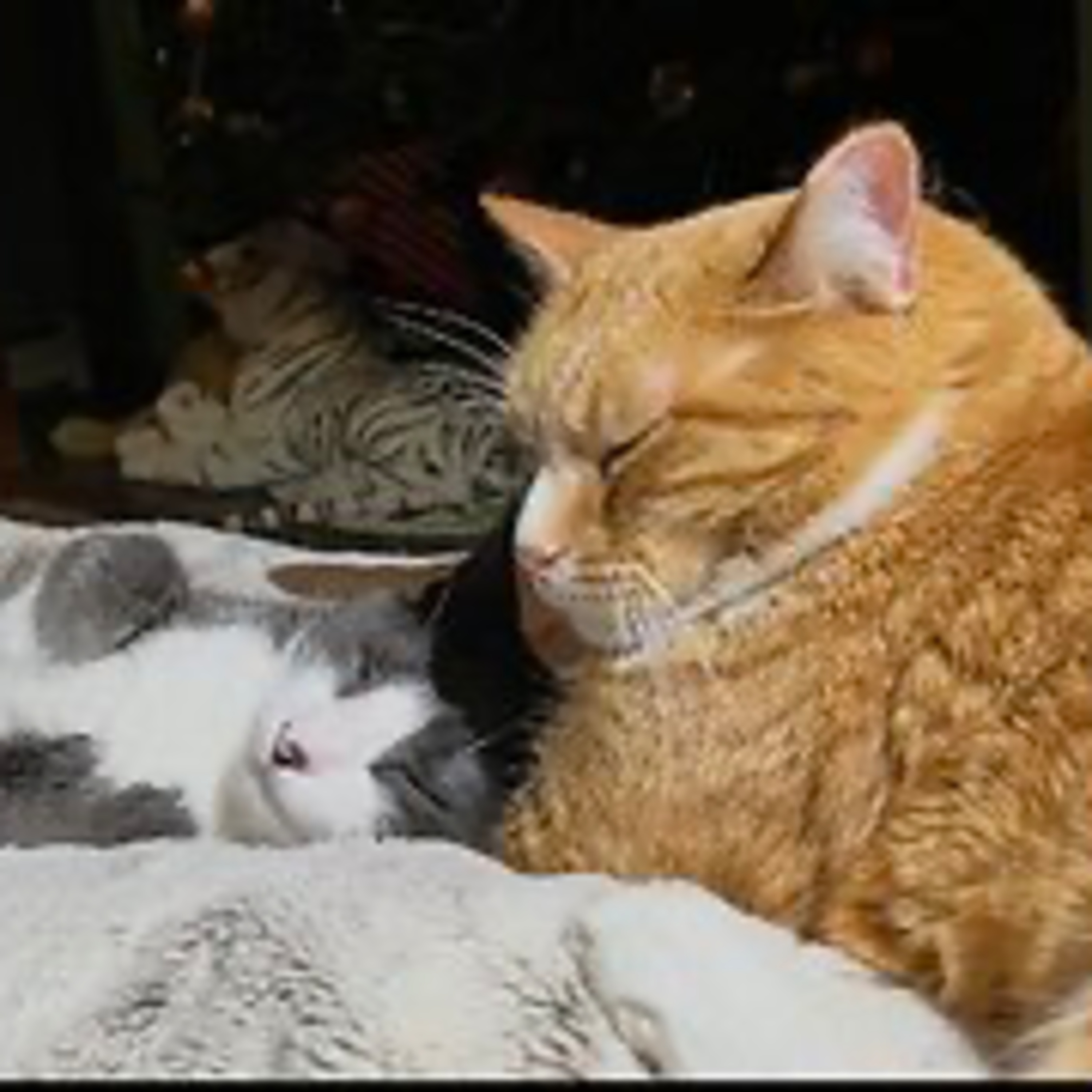 Episode 3050 CWSA 12/22/25