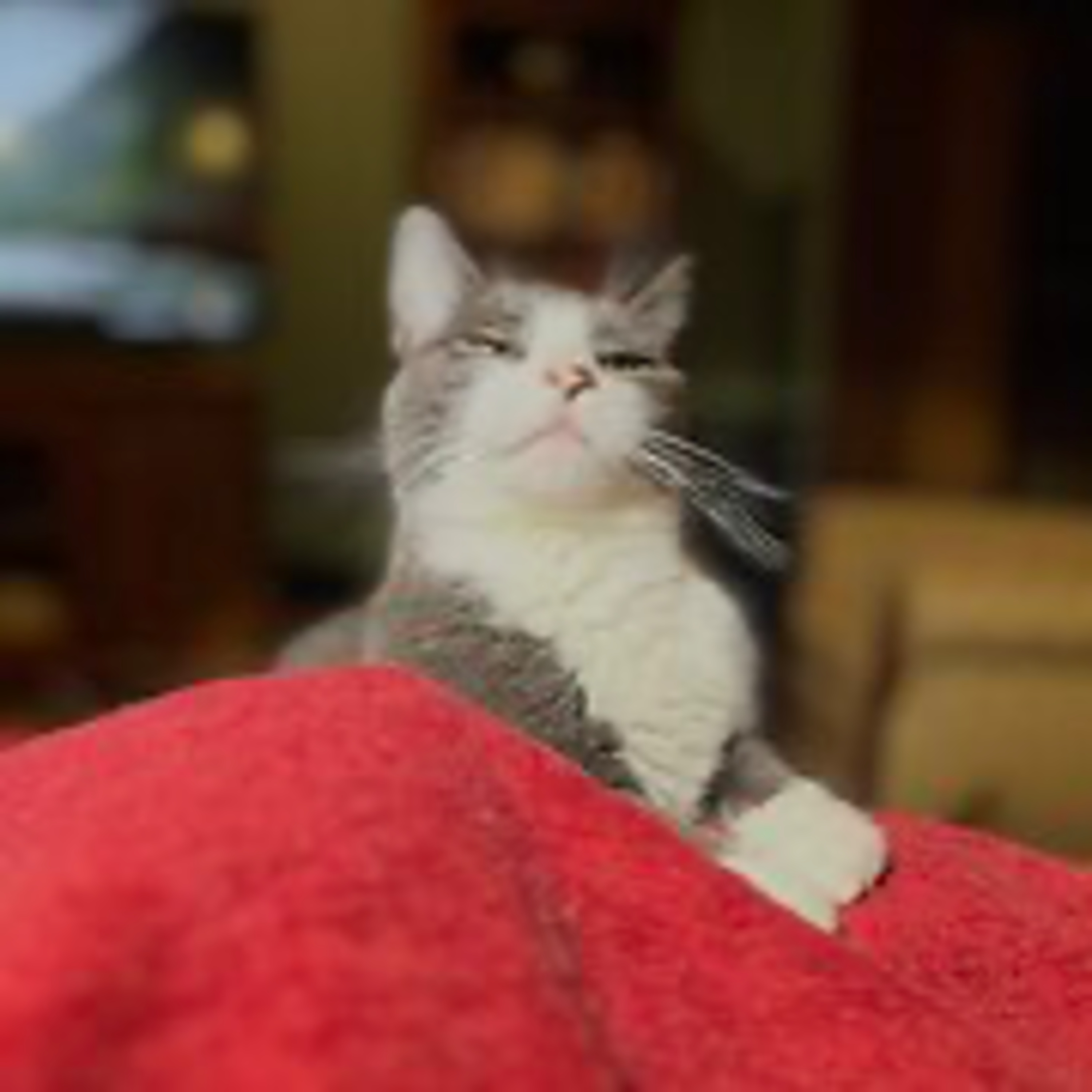 Episode 3051 CWSA 12/23/25