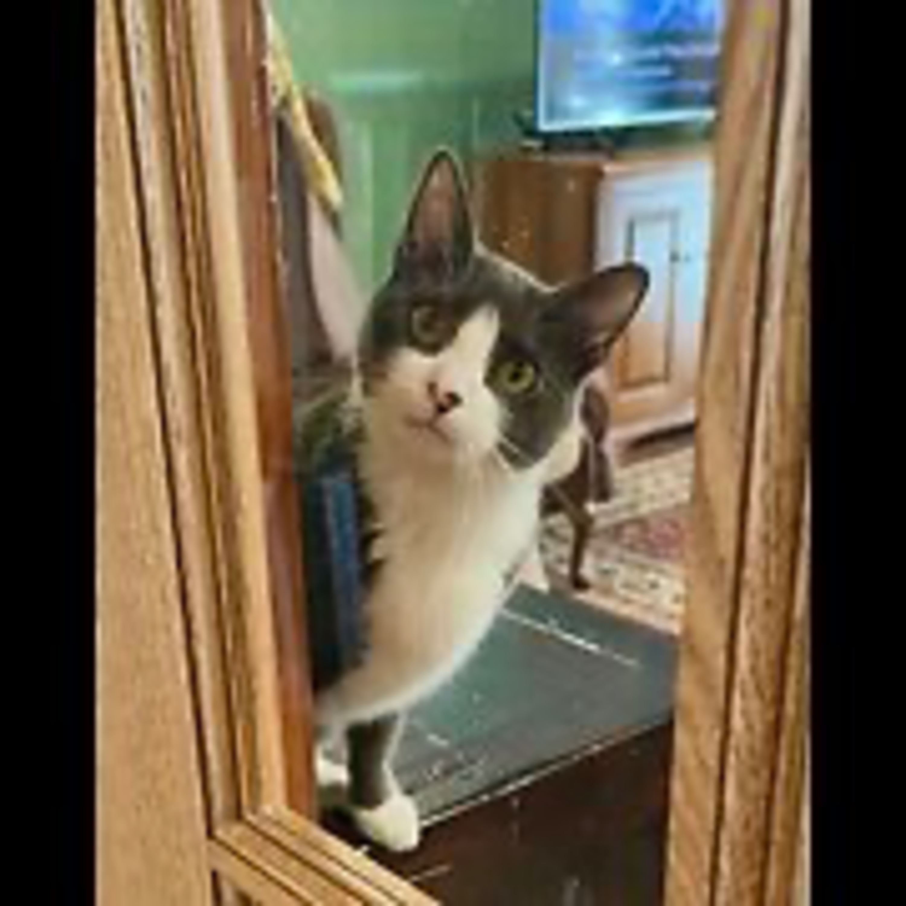 Episode 3054 CWSA 12/26/25