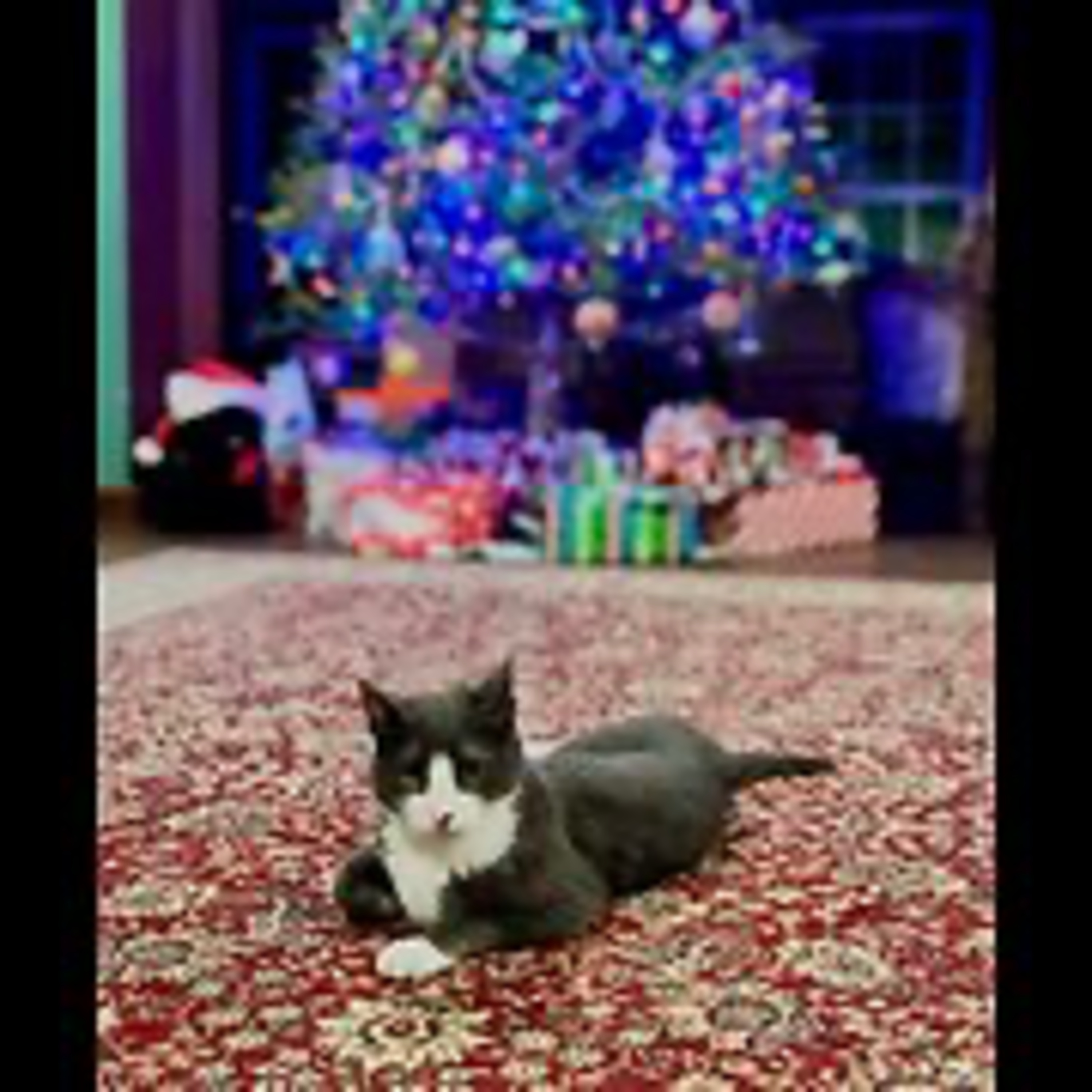 Episode 3055 CWSA 12/27/25