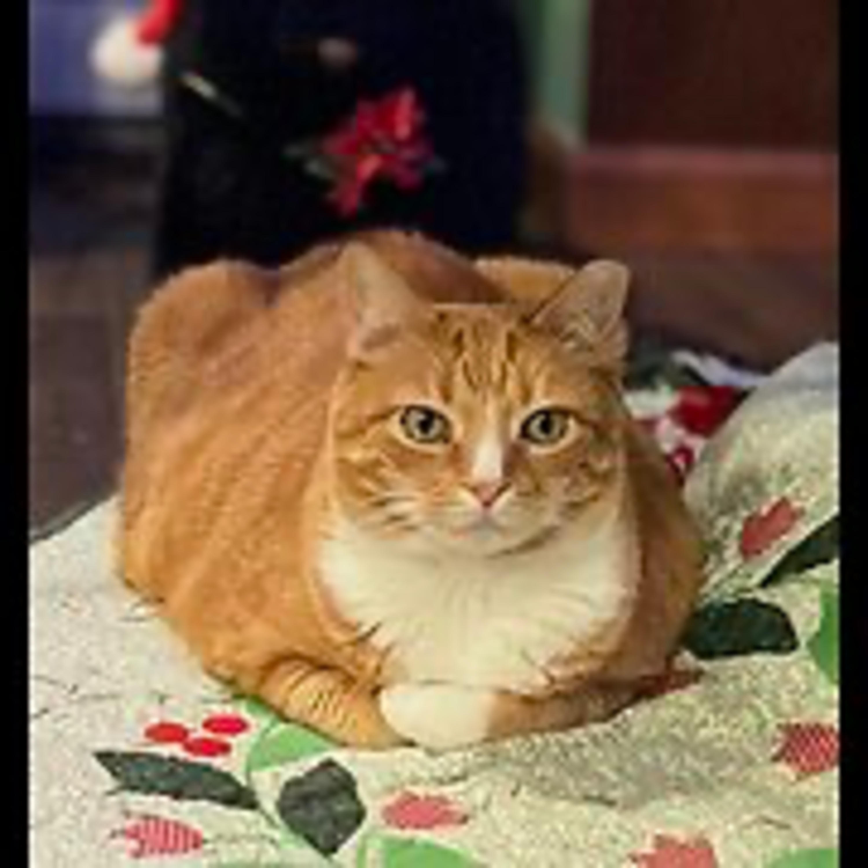 Episode 3058 CWSA 12/31/25