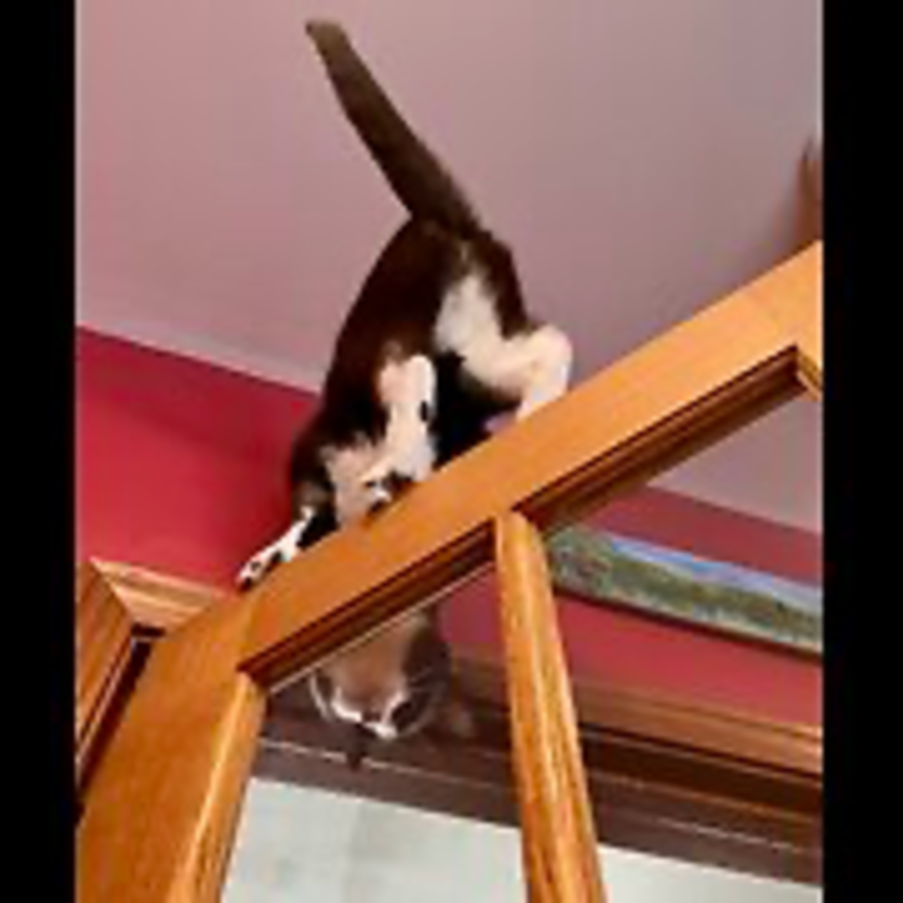 Episode 3059 CWSA 01/01/26