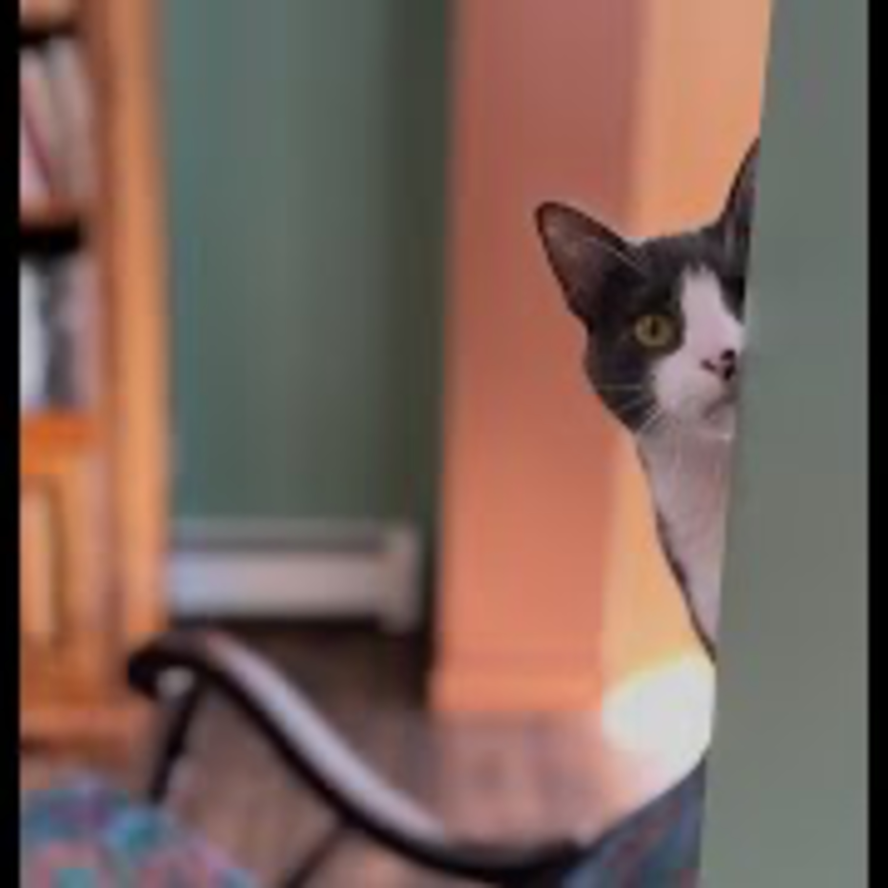 Episode 3060 CWSA 01/02/26