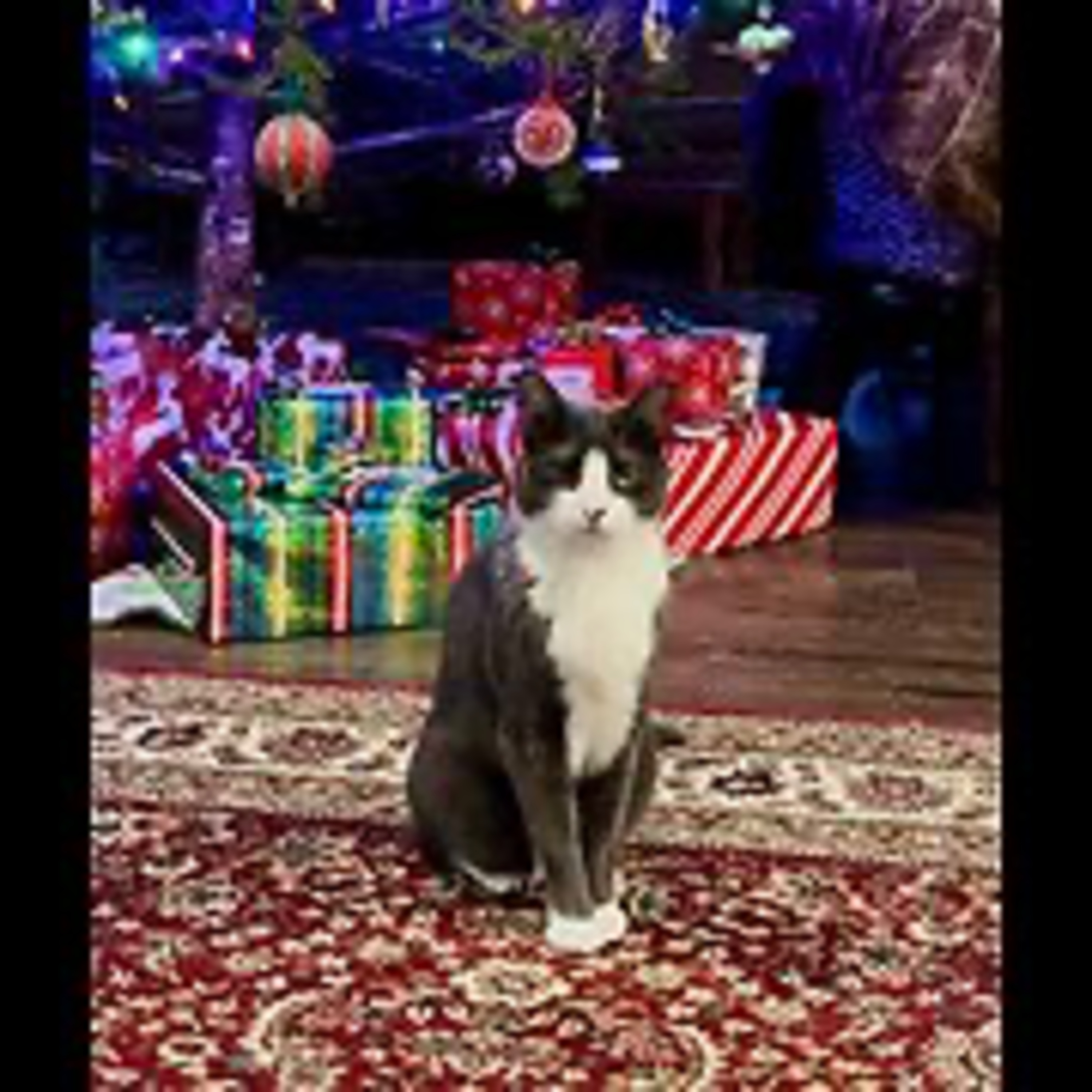 Episode 3061 CWSA 01/03/26