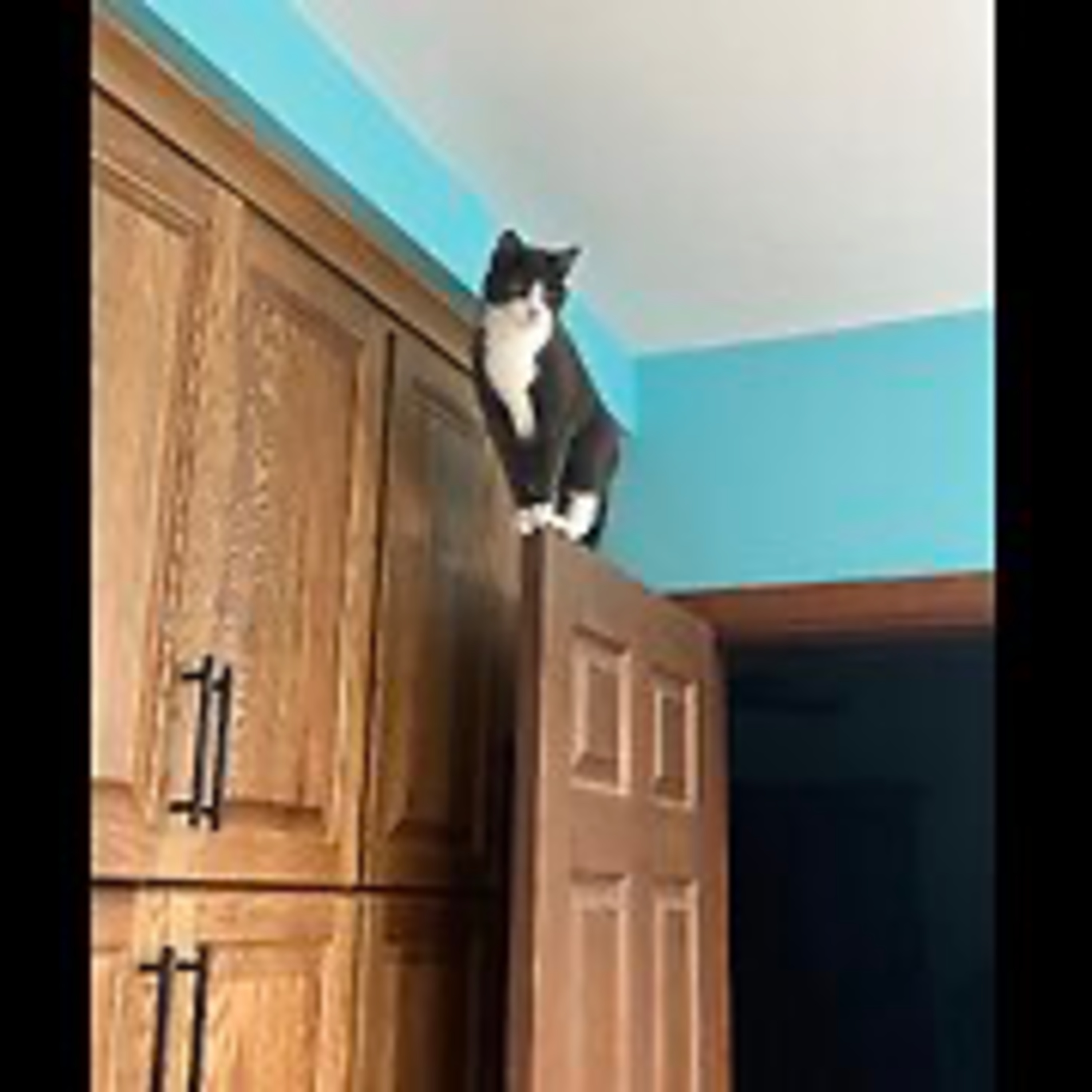 Episode 3062 CWSA 01/04/26