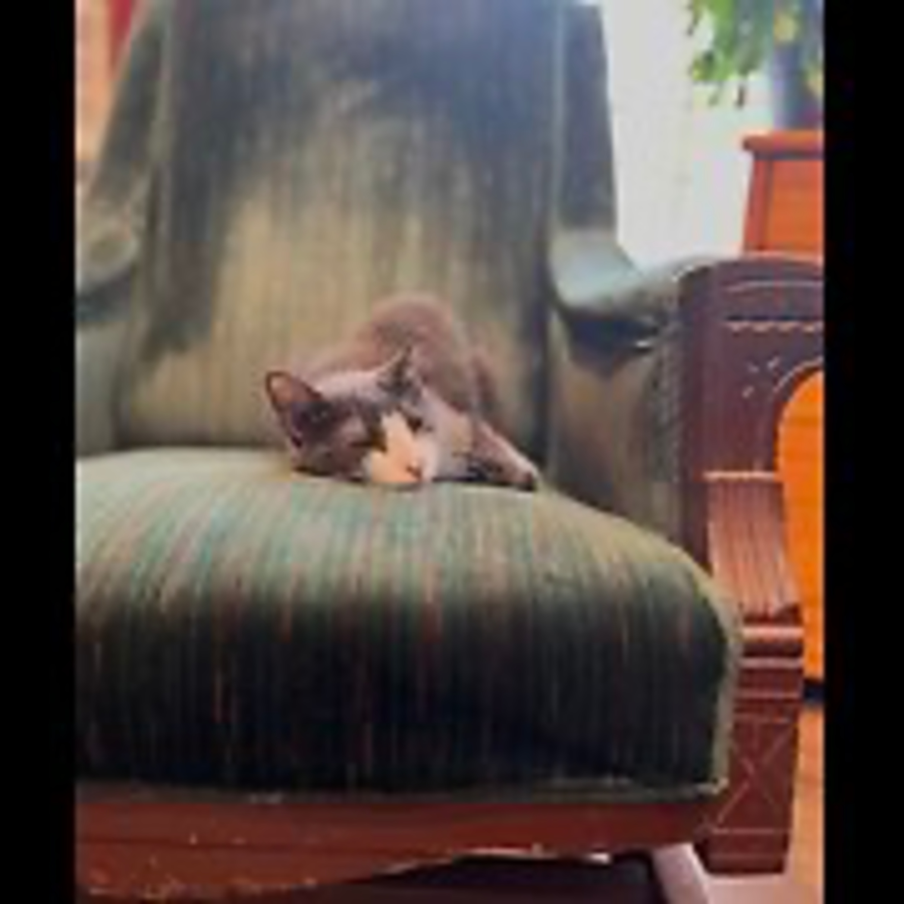 Episode 3067 ChattingWSA 01/09/26