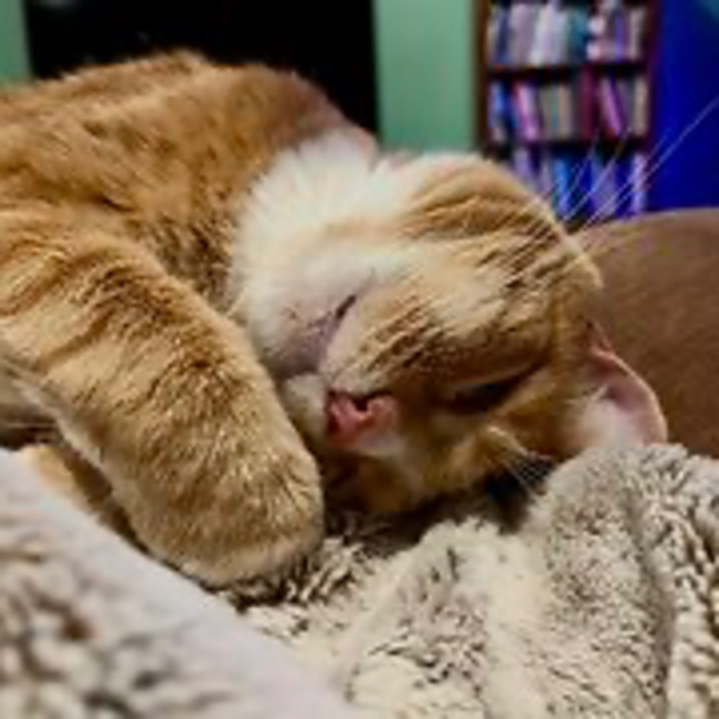 Episode 3068 ChattingWSA 01/10/26