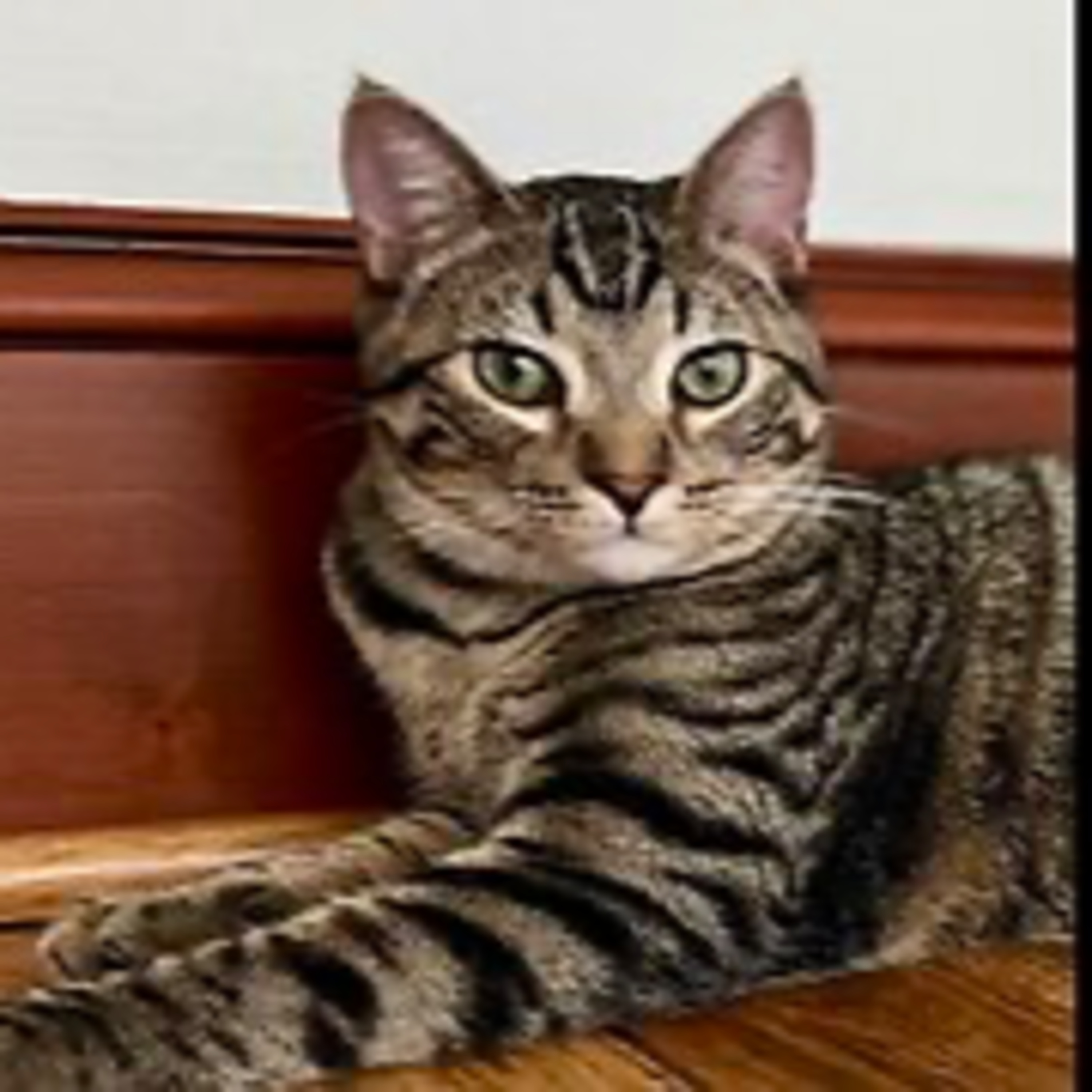 Episode 3072 CWSA - The Scott Adams School 01/14/26