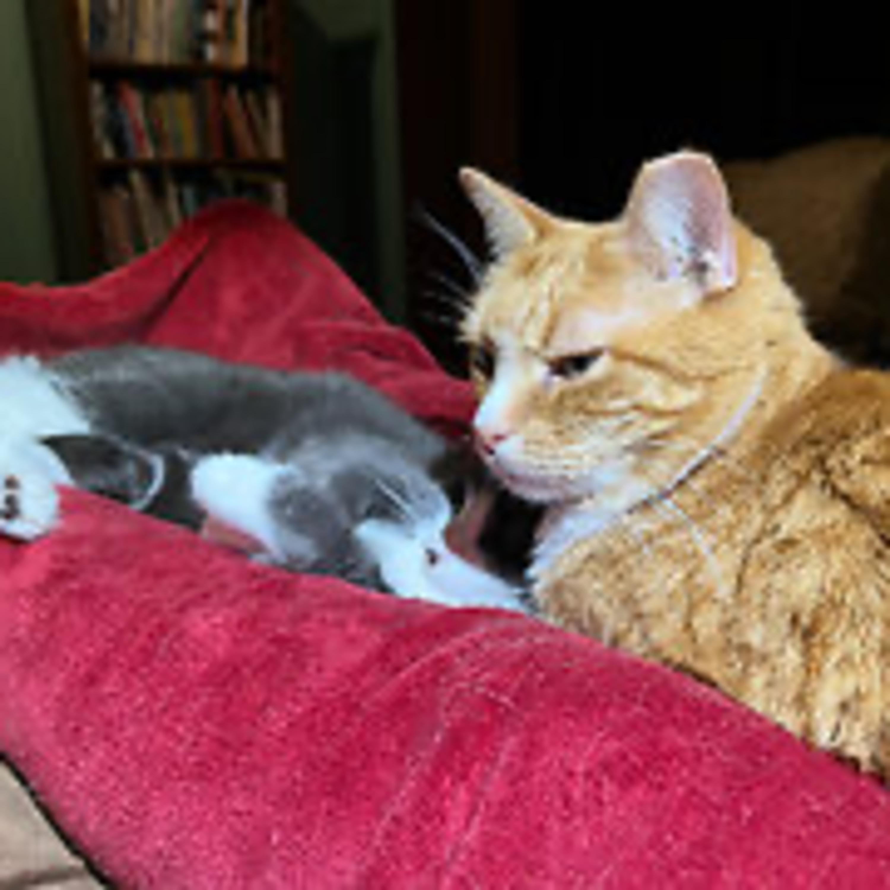 Episode 3073 CWSA - The Scott Adams School 01/15/26