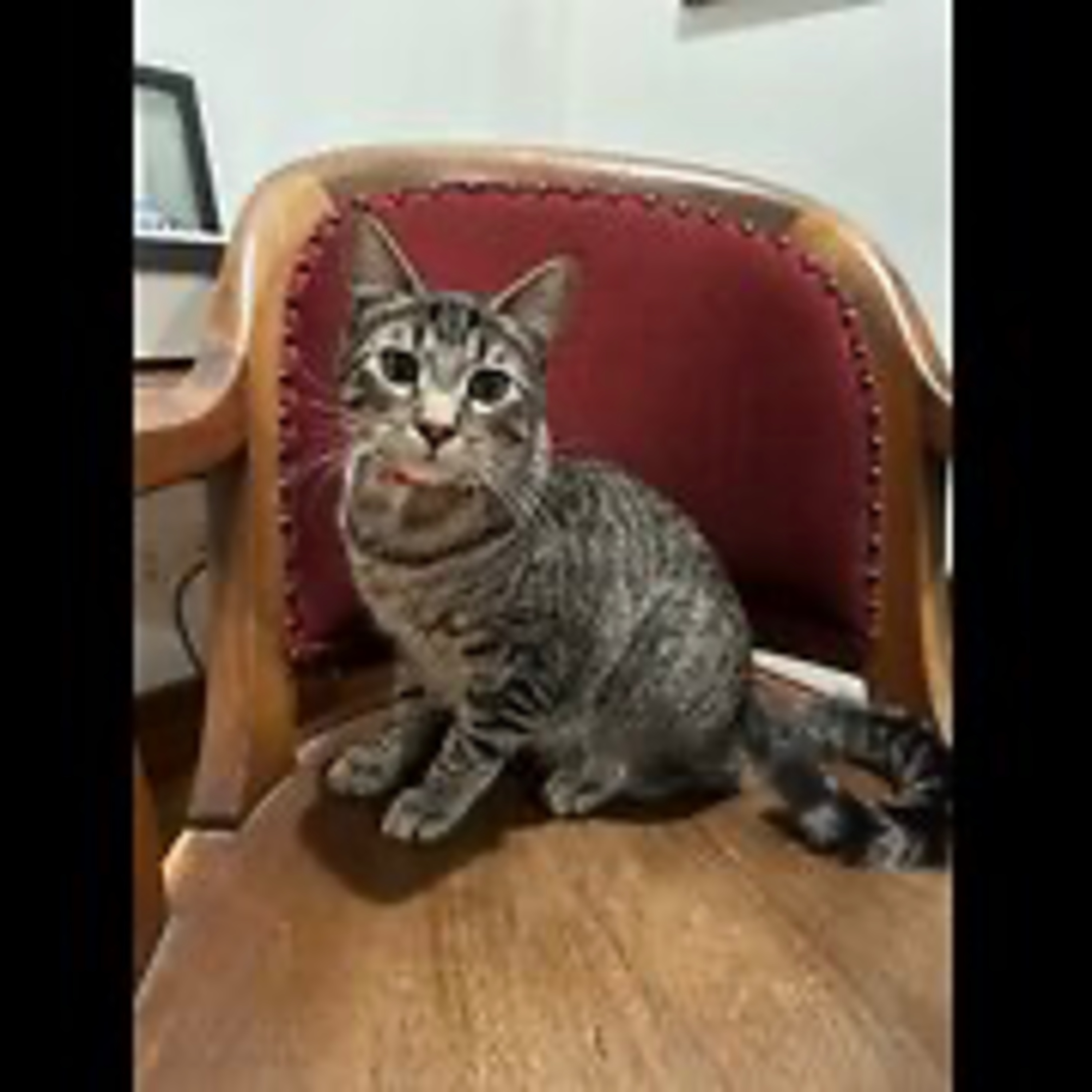 Episode 3074 - The Scott Adams School 01/16/26