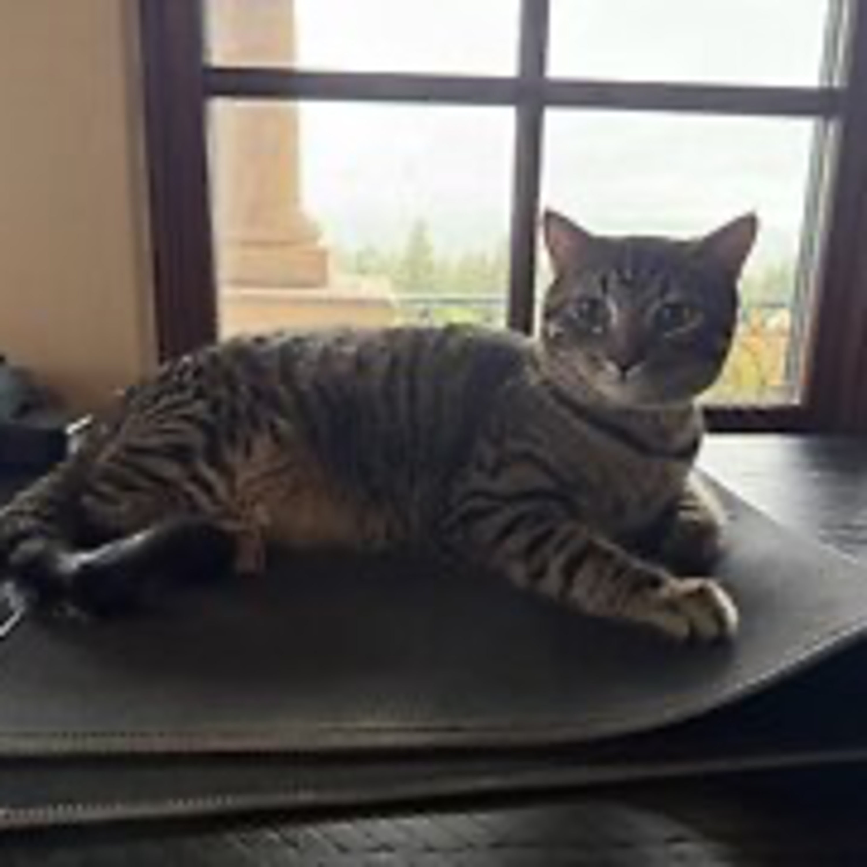 Episode 3100 - The Scott Adams School 02/23/26