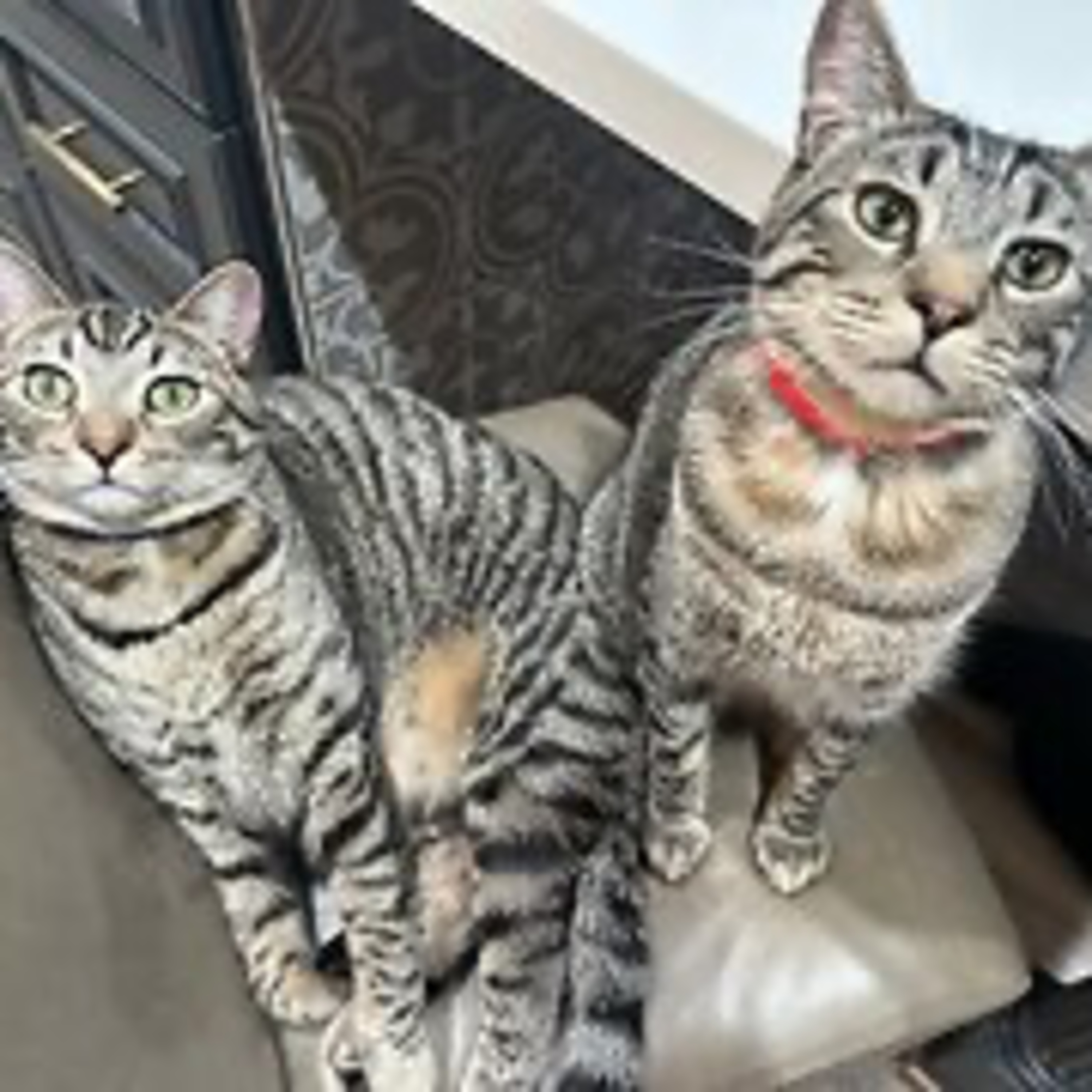 Episode 3105 - The Scott Adams School 03/02/26